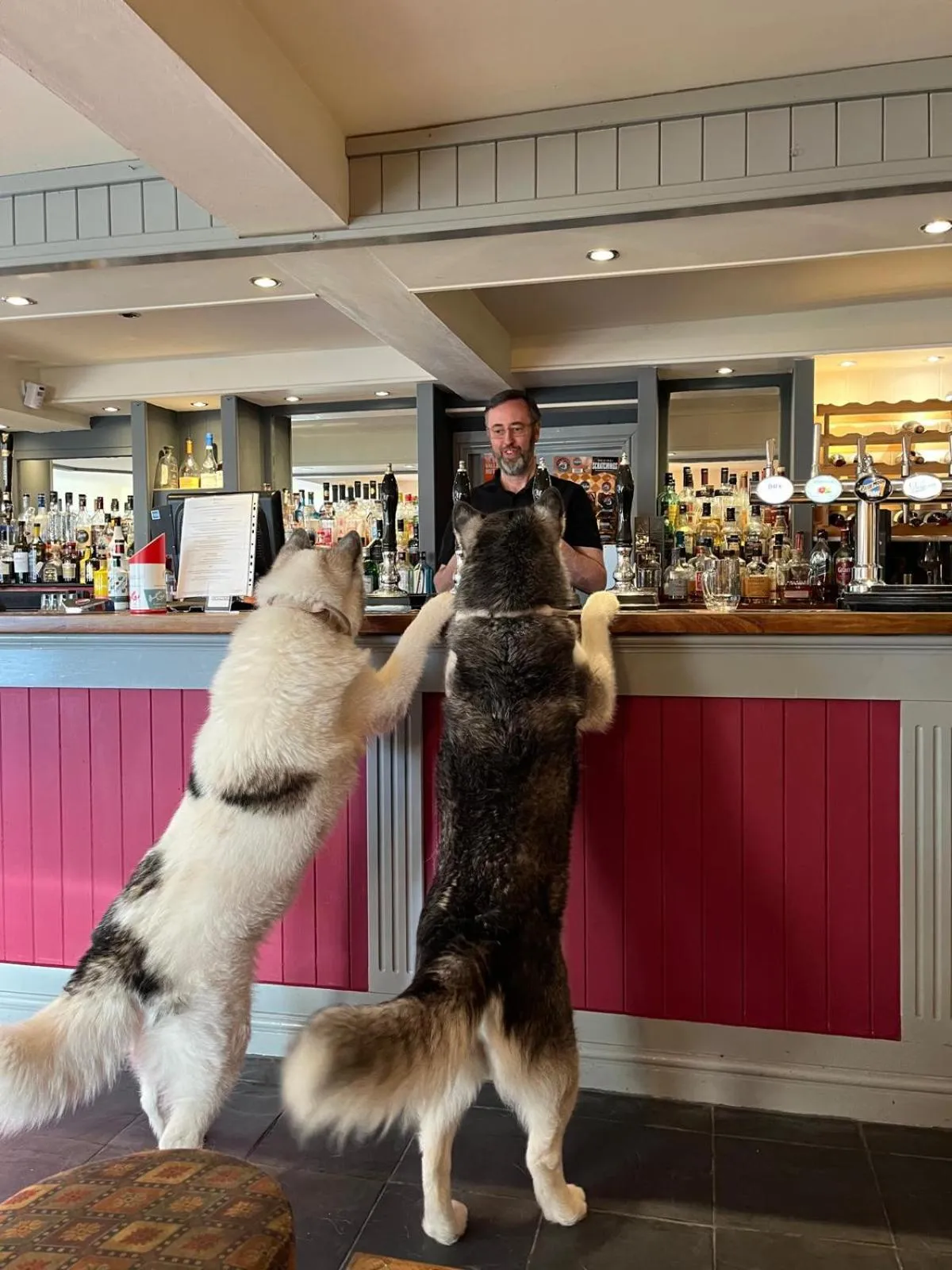 Lounge or bar in Y Branwen Restaurant & Rooms - Adult Only and Dog Friendly