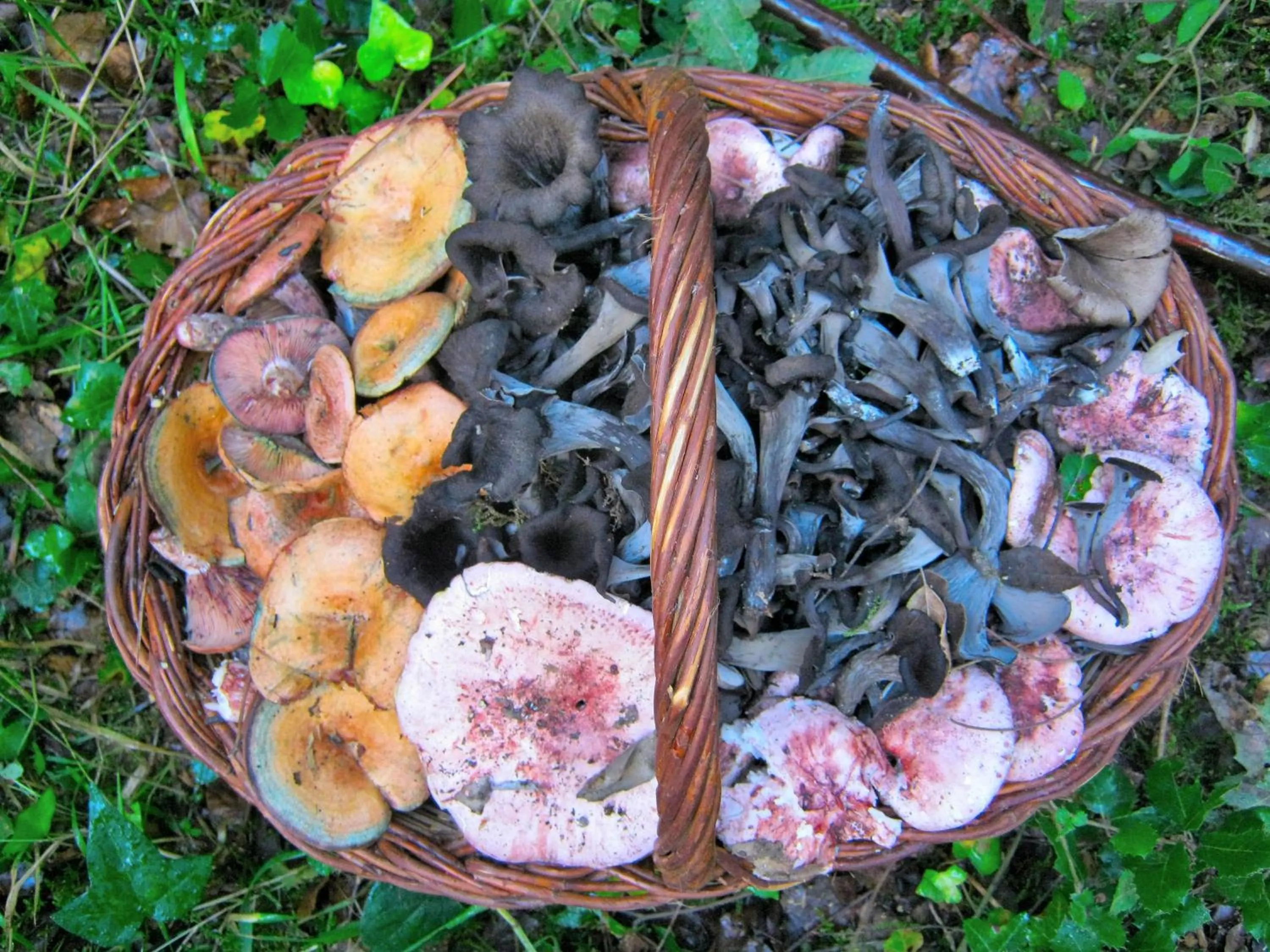 Activities in Camping La Ribera Salada