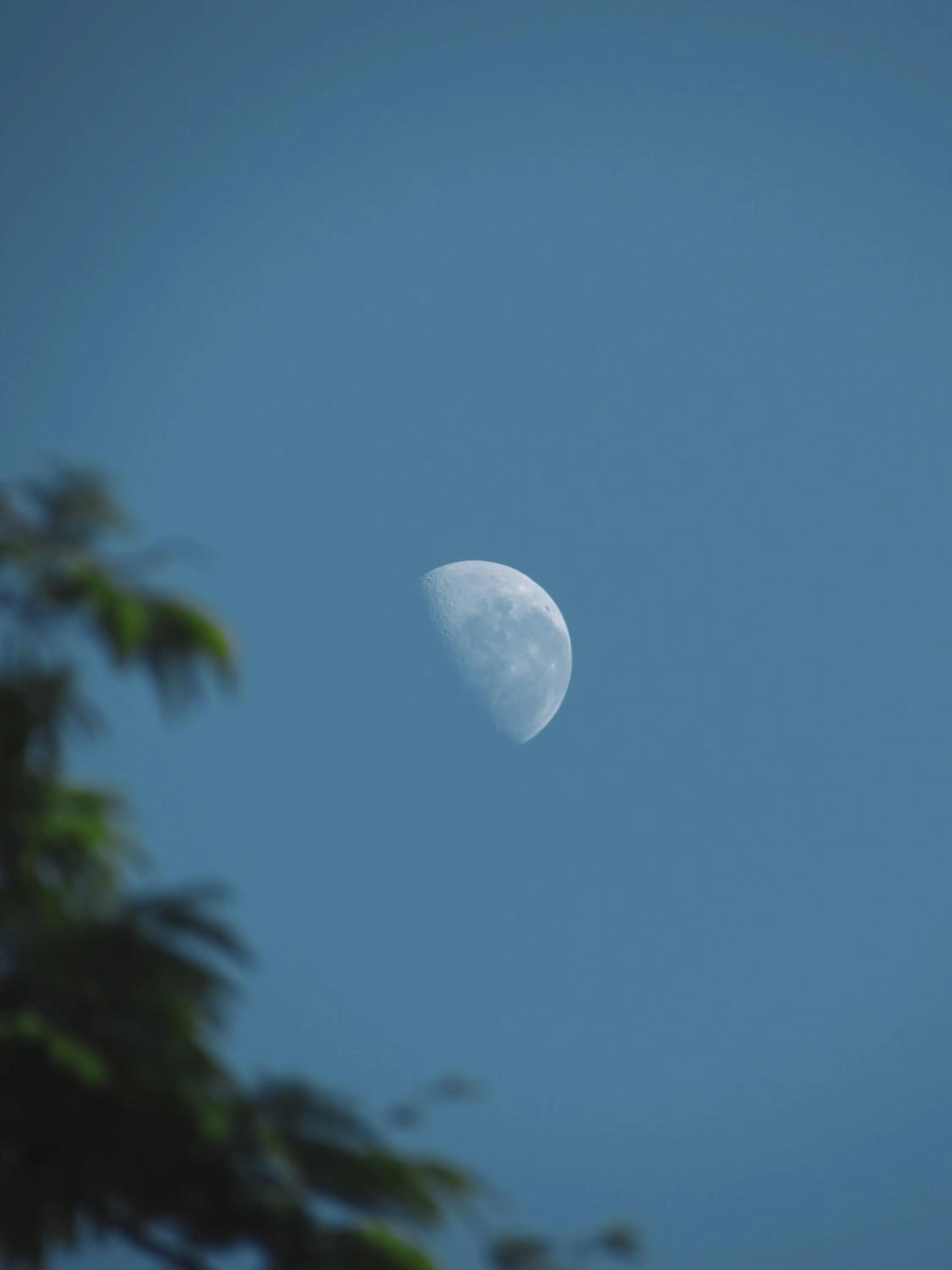 Selvaje Lodge Iguazu