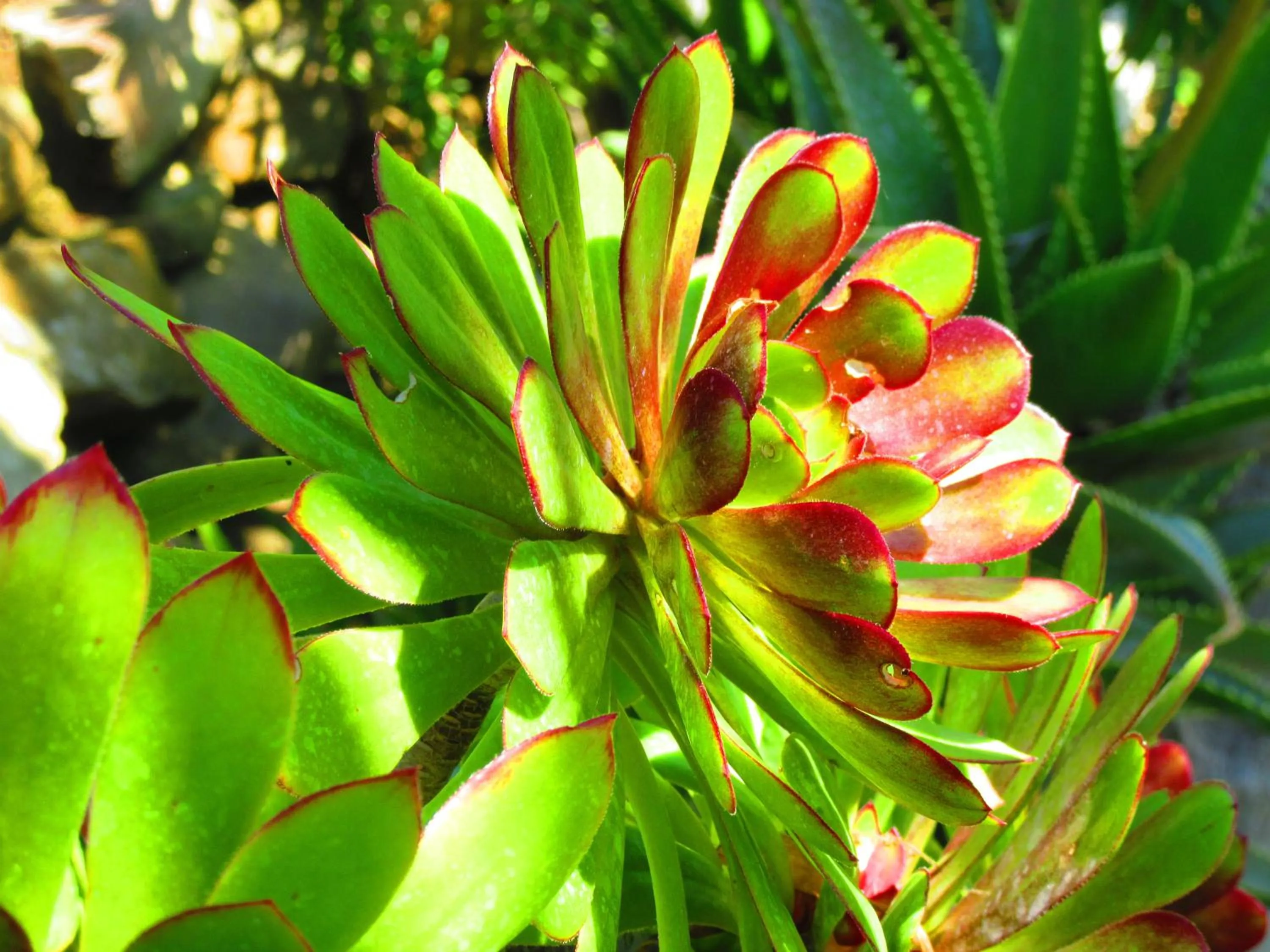 Living room in Agriturismo Serignano alle Rocchette