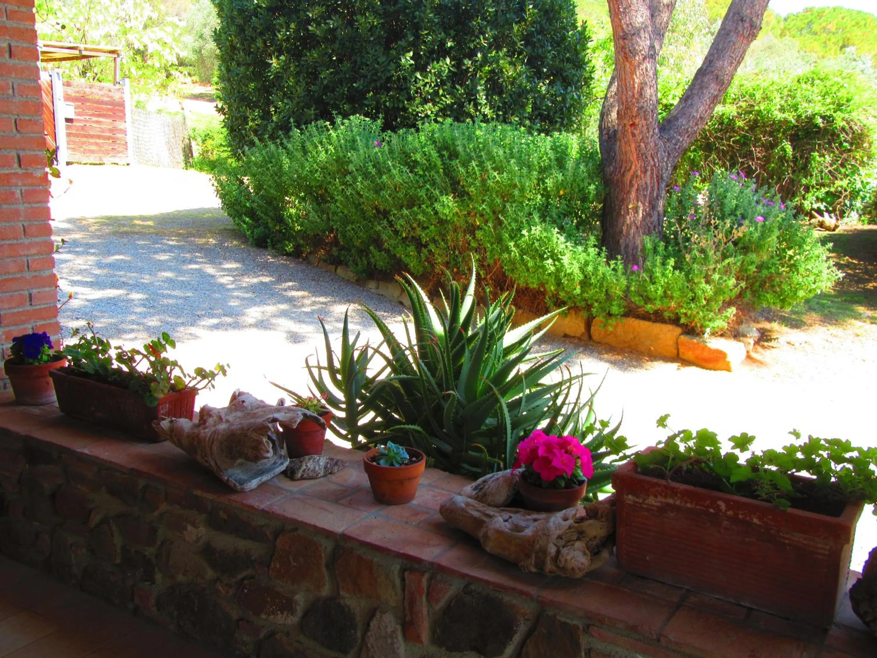 Agriturismo Serignano alle Rocchette