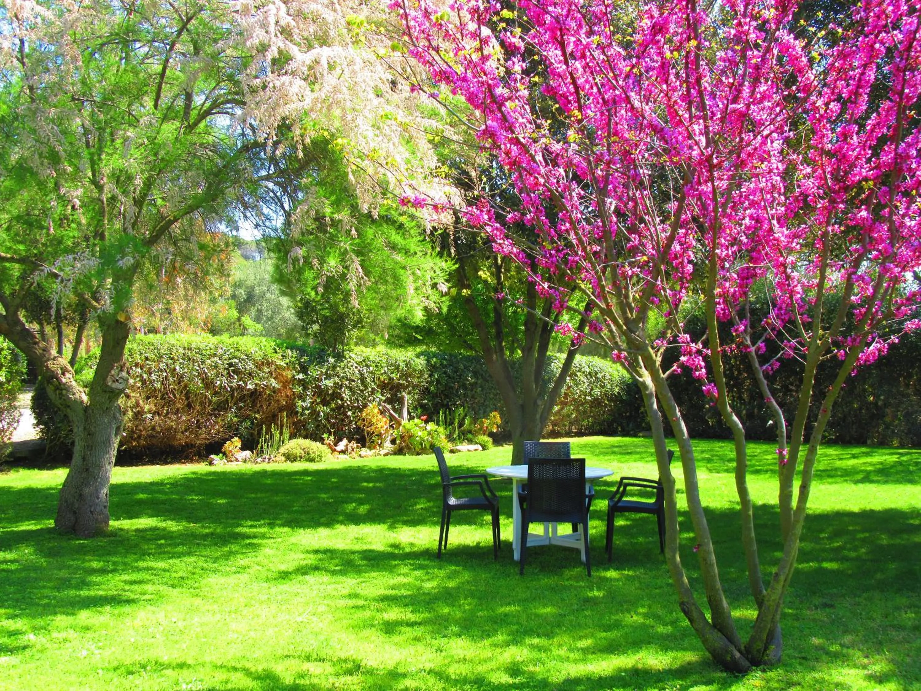 Living room in Agriturismo Serignano alle Rocchette