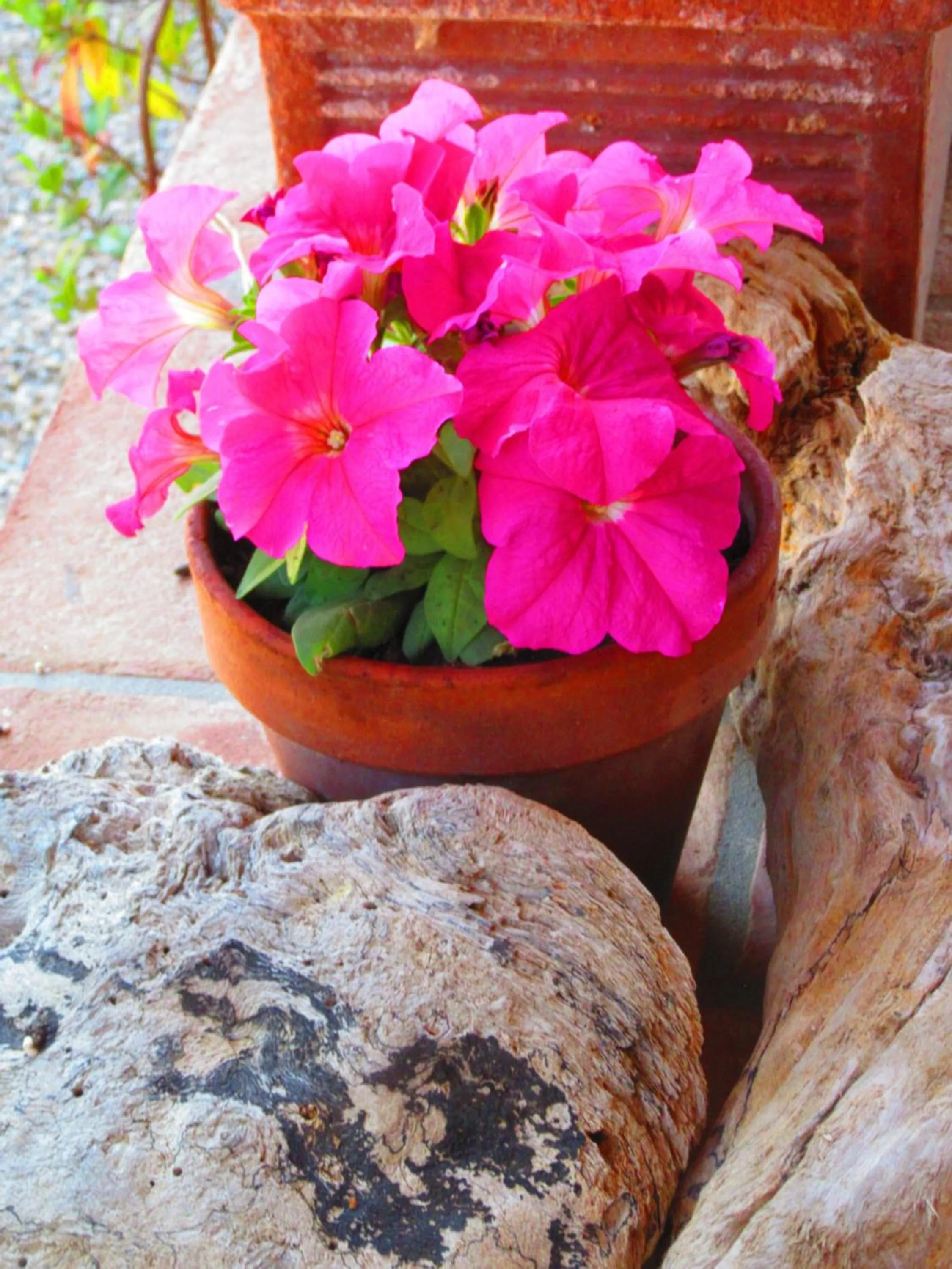 Agriturismo Serignano alle Rocchette