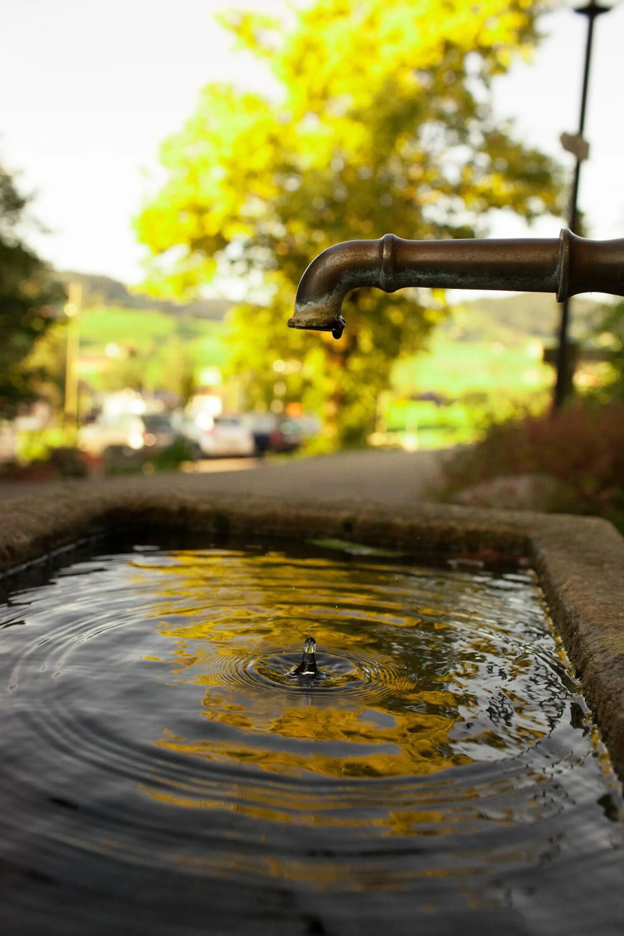 Area and facilities in Ferienhotel Idyll Gais