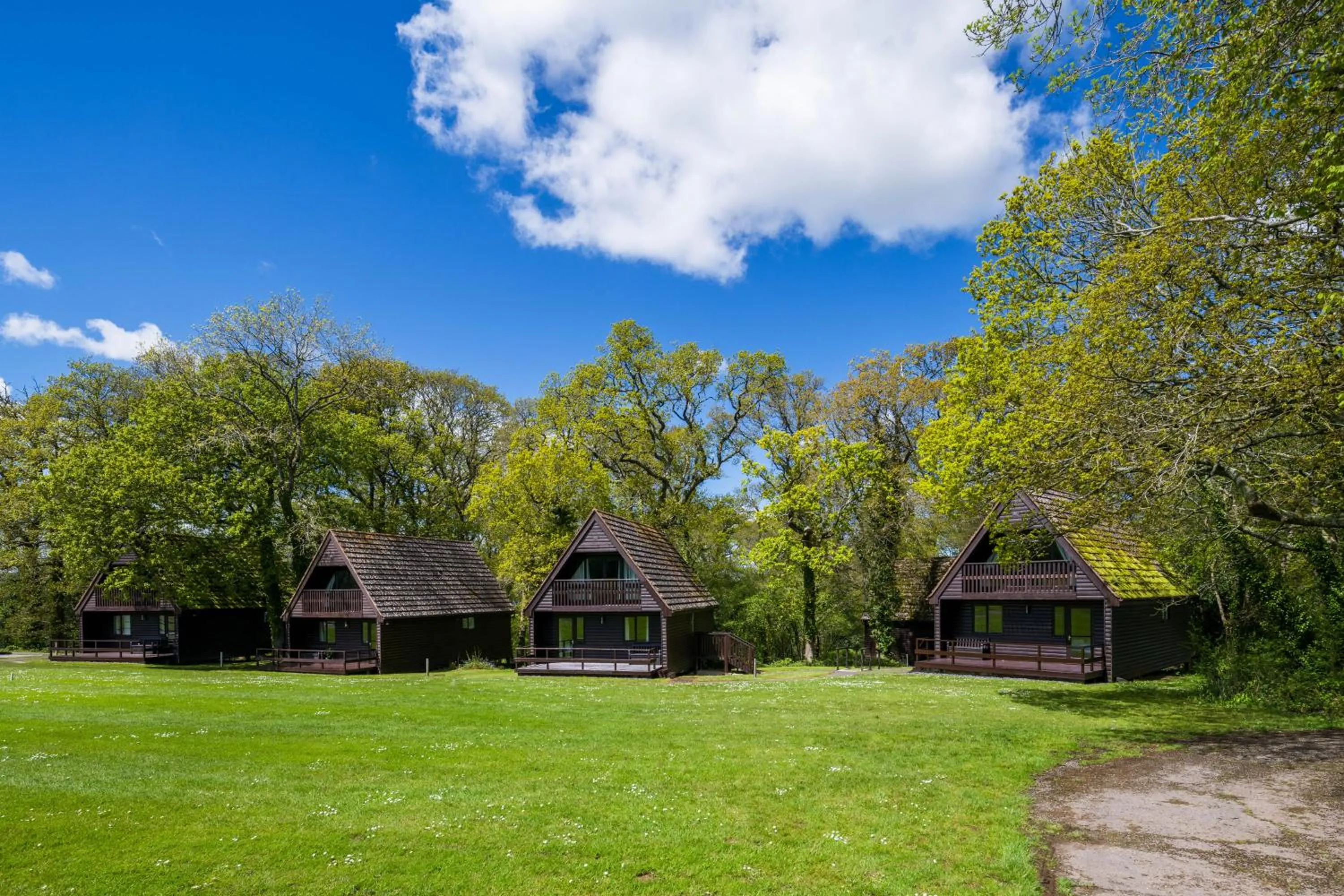 Garden in Woodbury Park Hotel & Spa