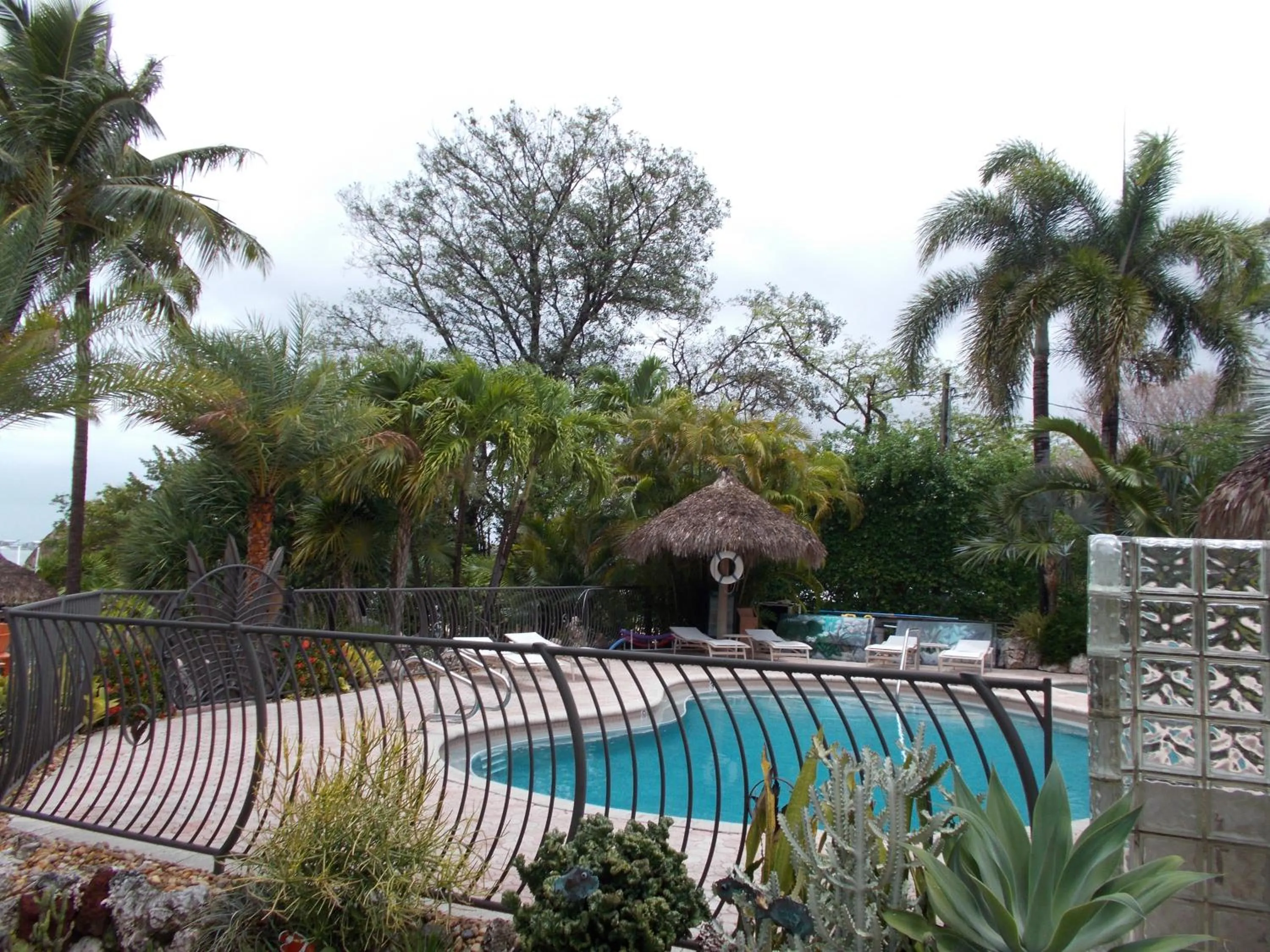 Swimming pool in Kona Kai Resort and Gallery