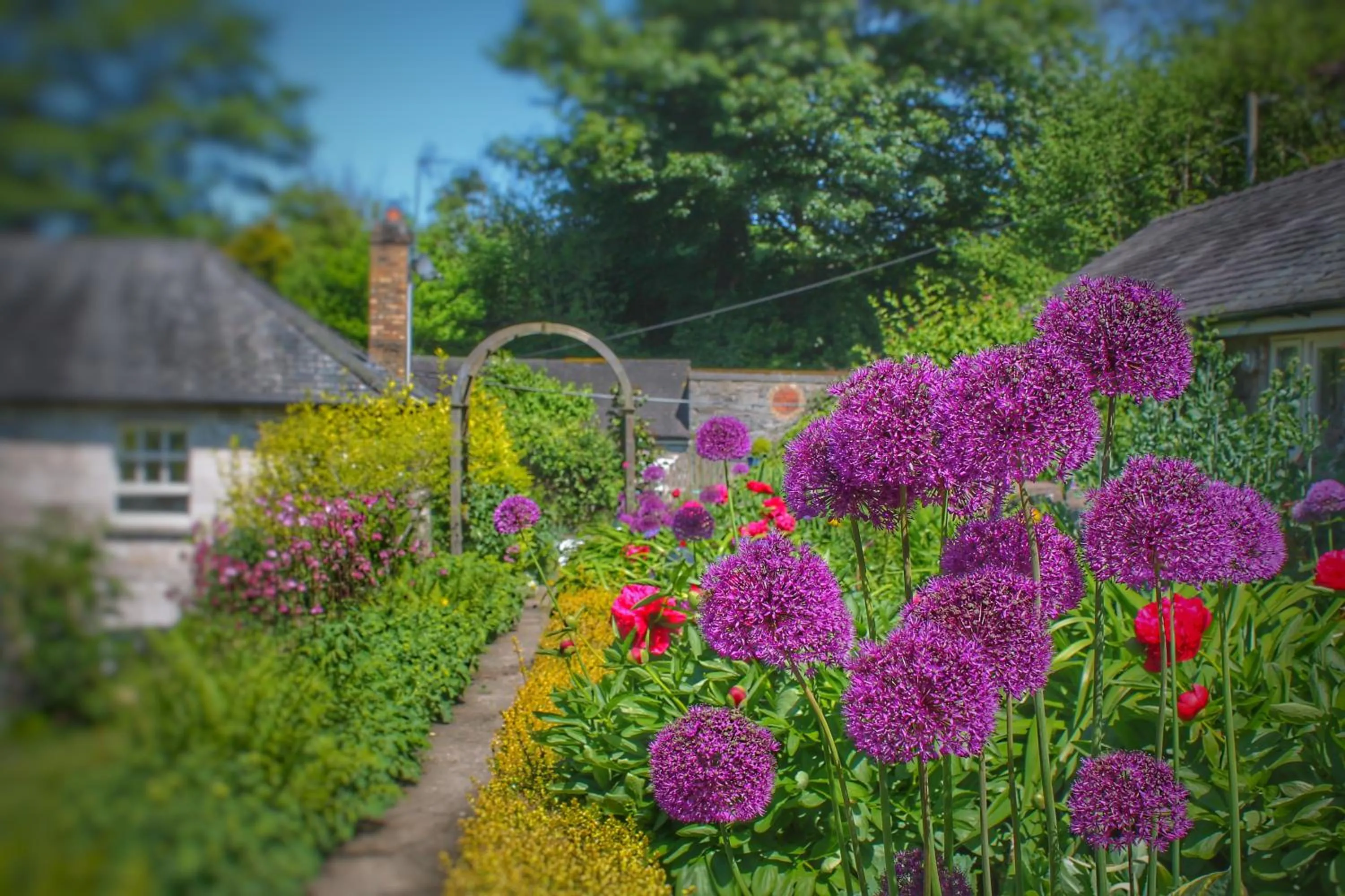 Garden in Pen-Y-Dyffryn Country Hotel