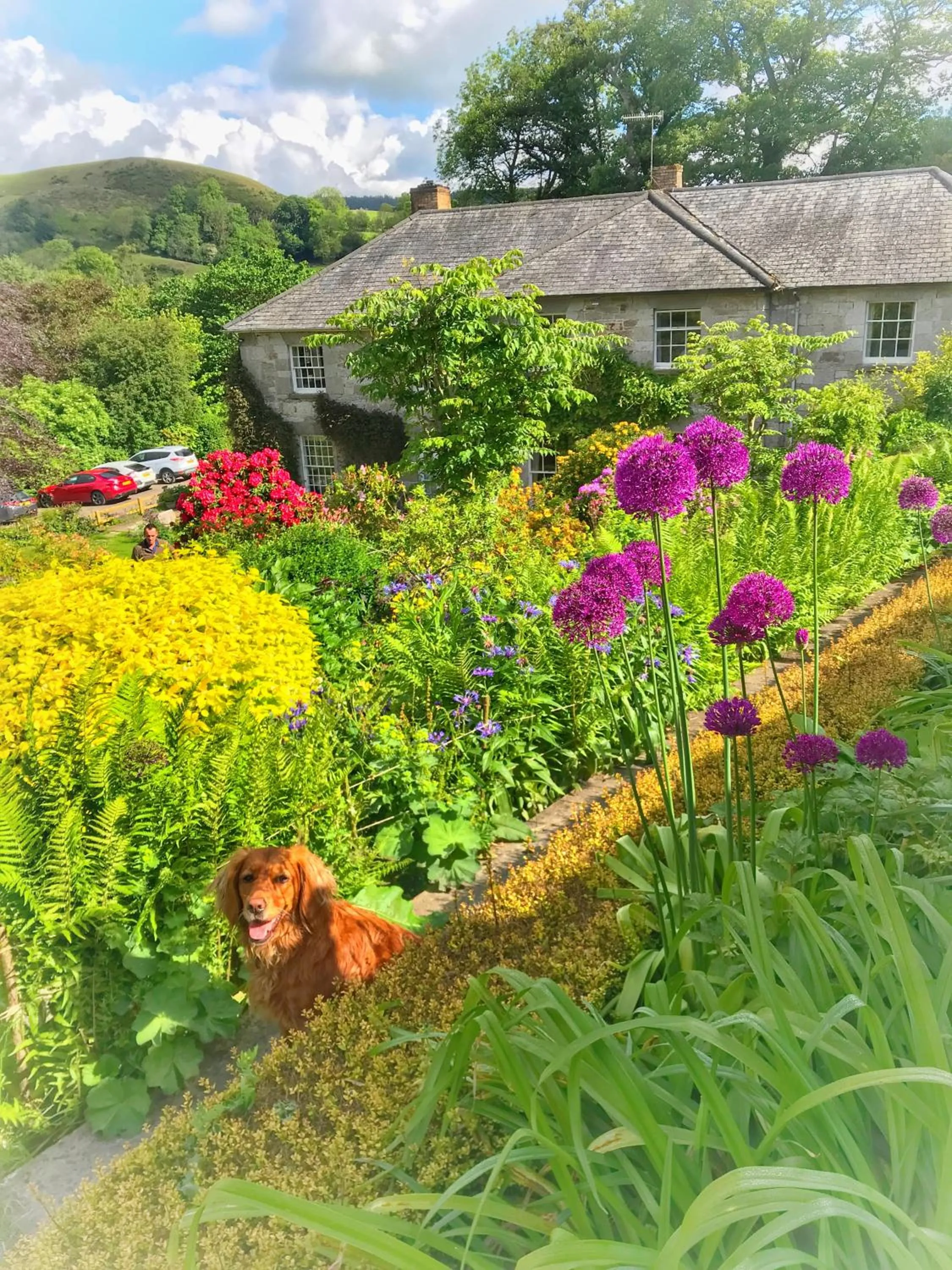 Property building in Pen-Y-Dyffryn Country Hotel