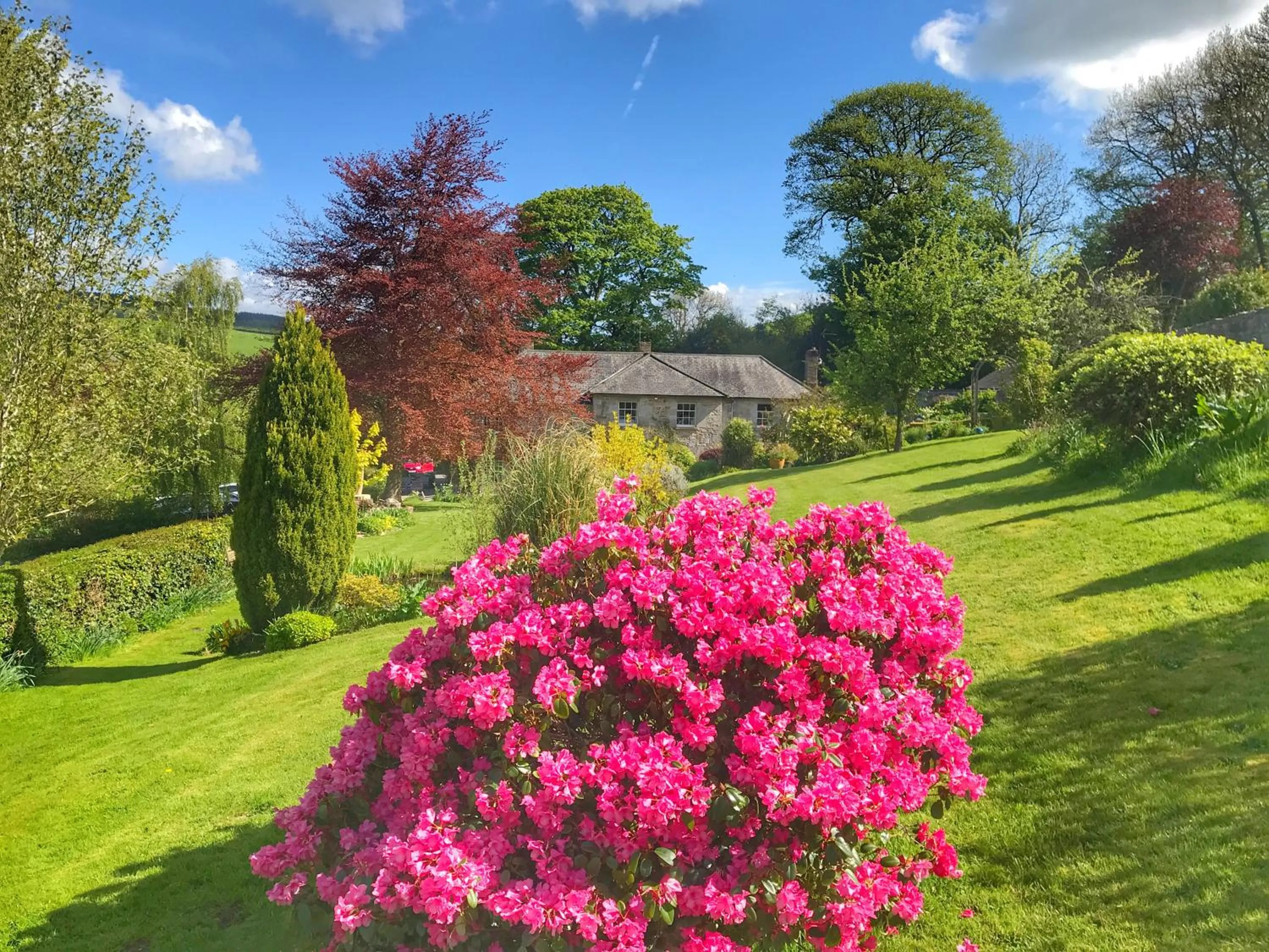 Natural landscape in Pen-Y-Dyffryn Country Hotel