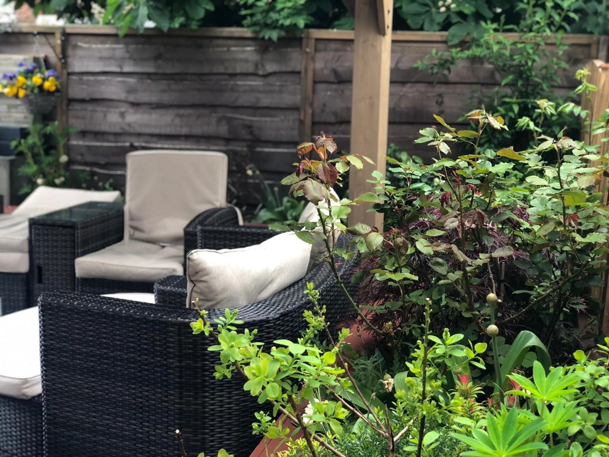 Patio in Hendham House