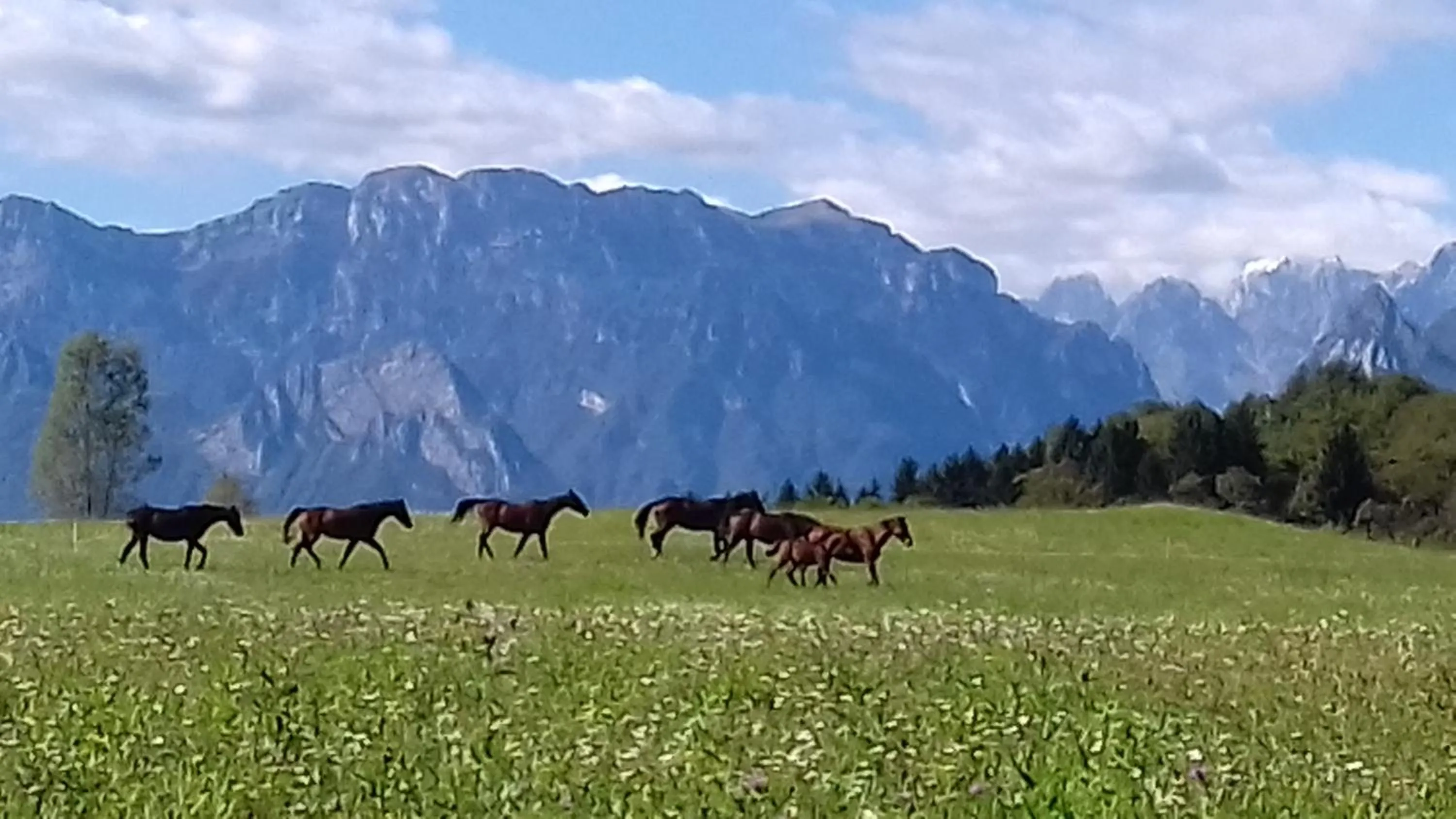 Natural landscape in Antico fienile