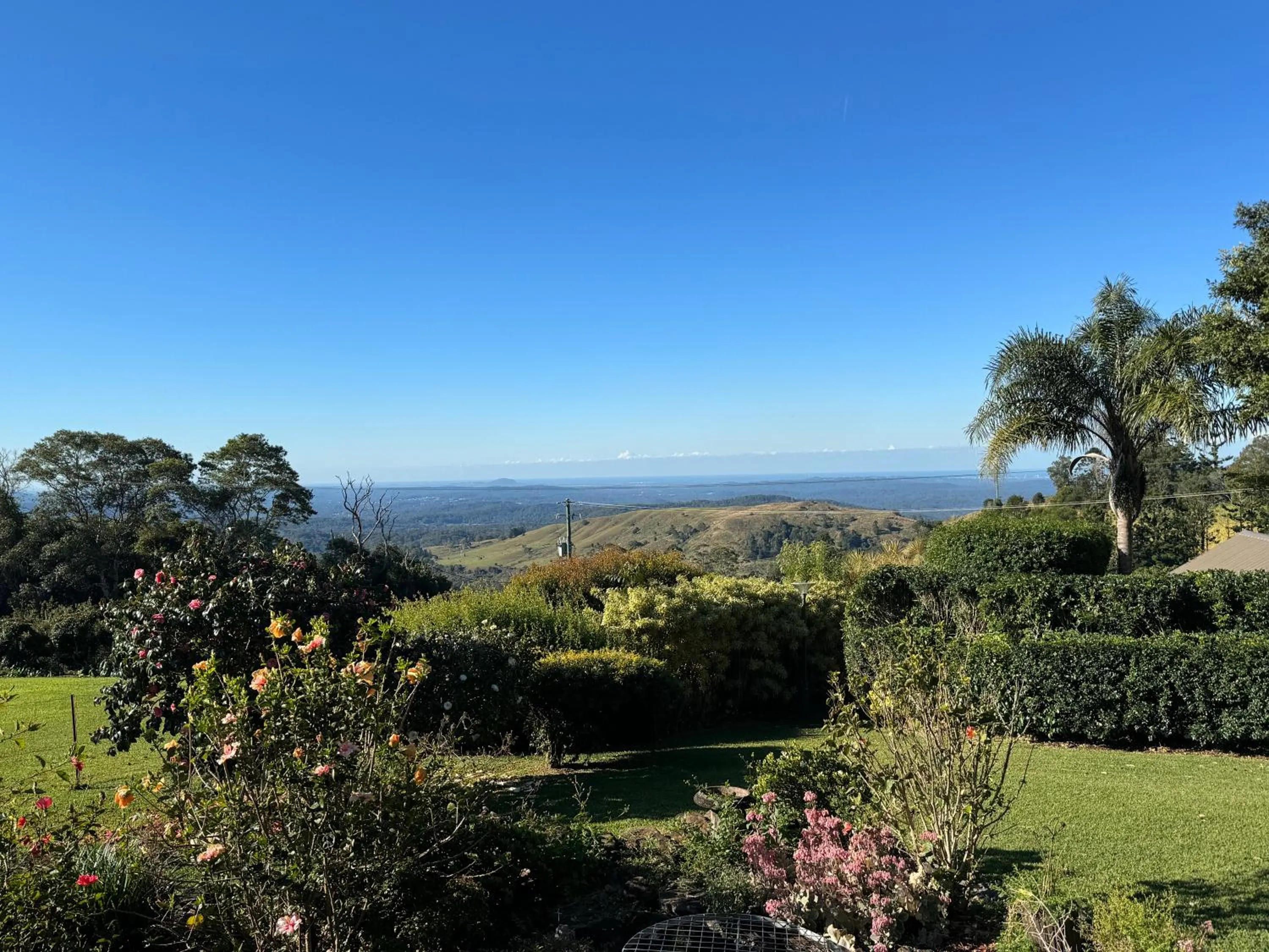 Mountain view in Maleny Terrace Cottages