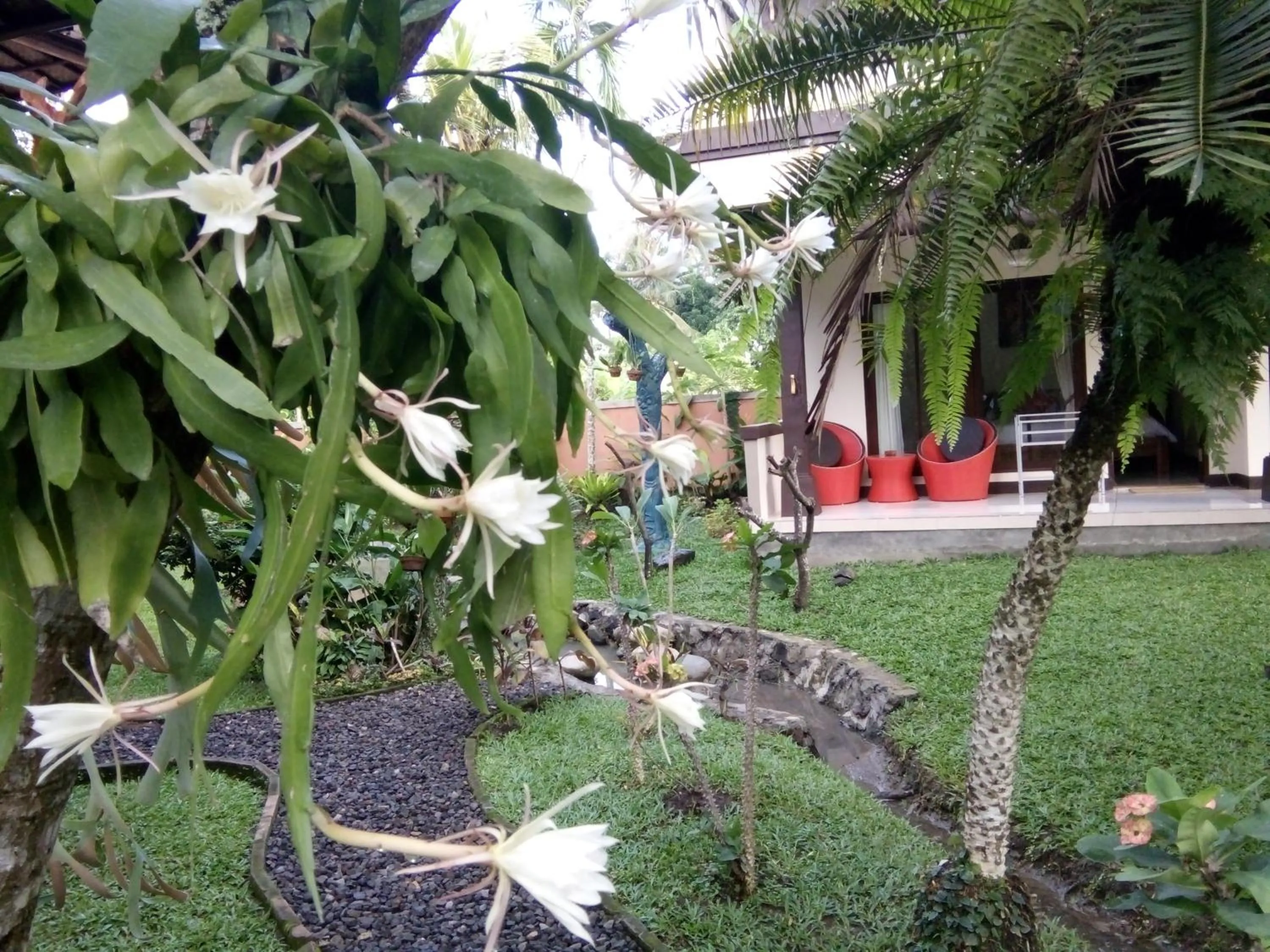 Garden in Indraprastha 2 Bungalow