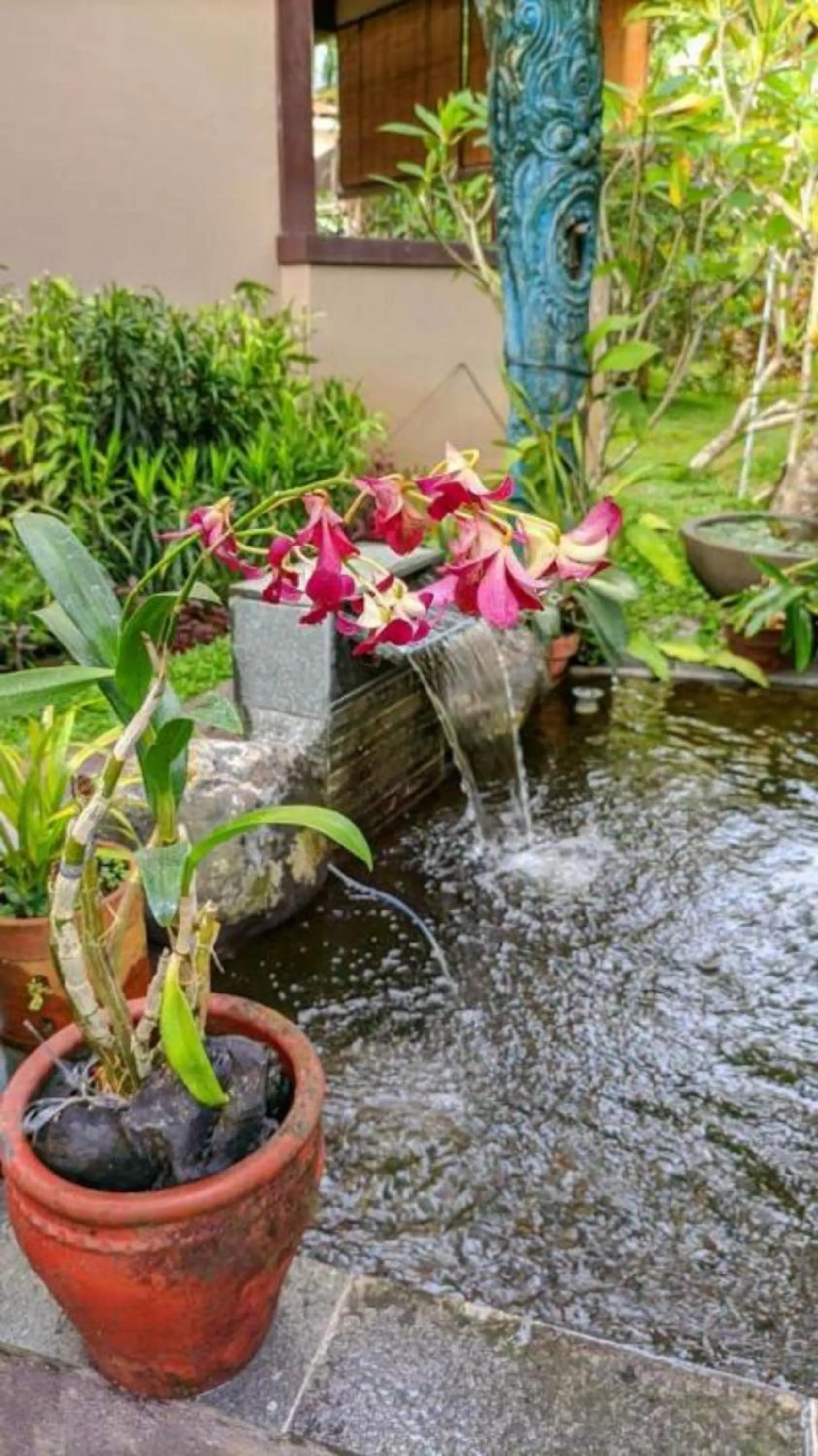 Garden in Indraprastha 2 Bungalow