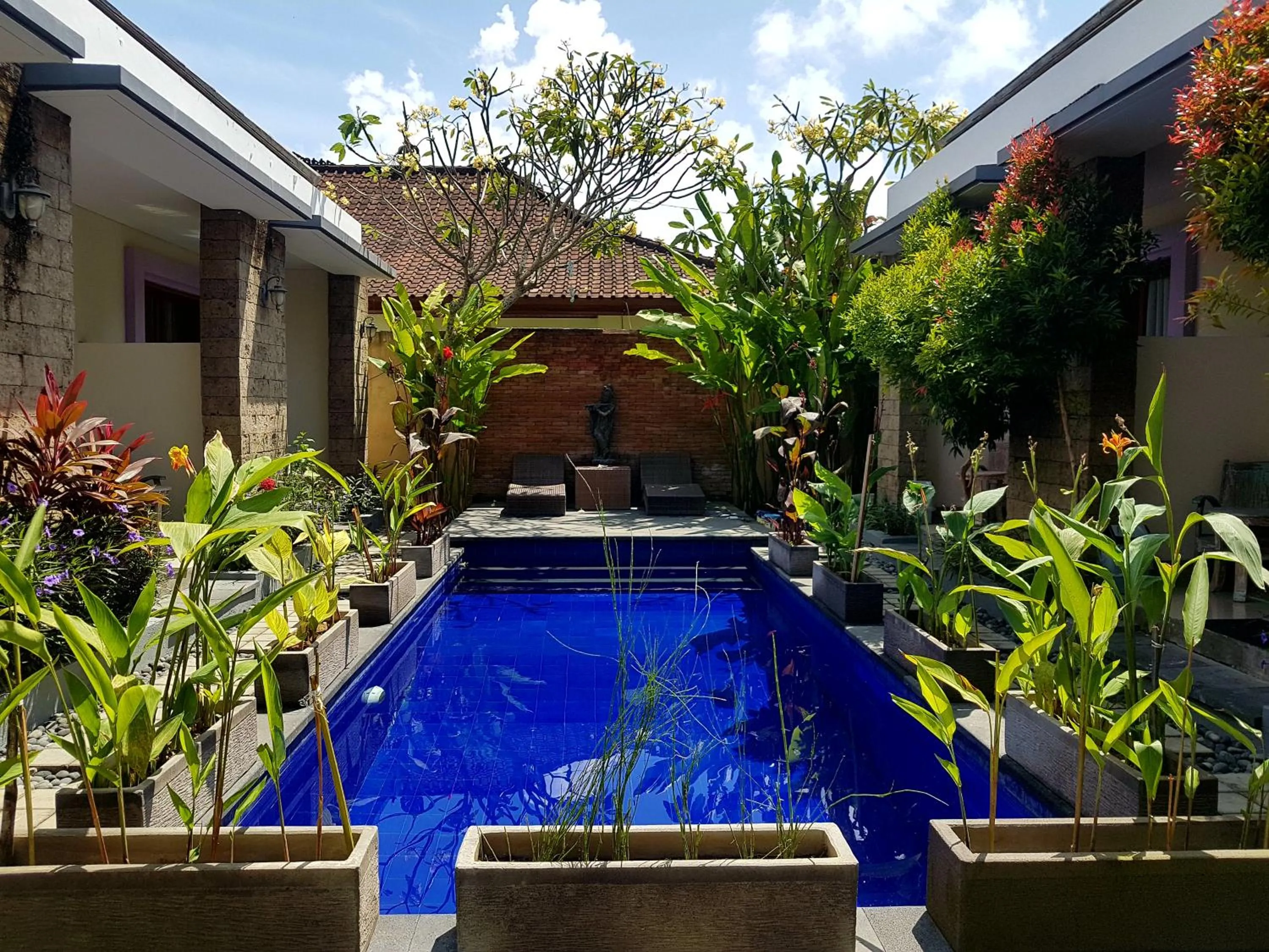 Pool view in Ayu Love & Harmony Guest House