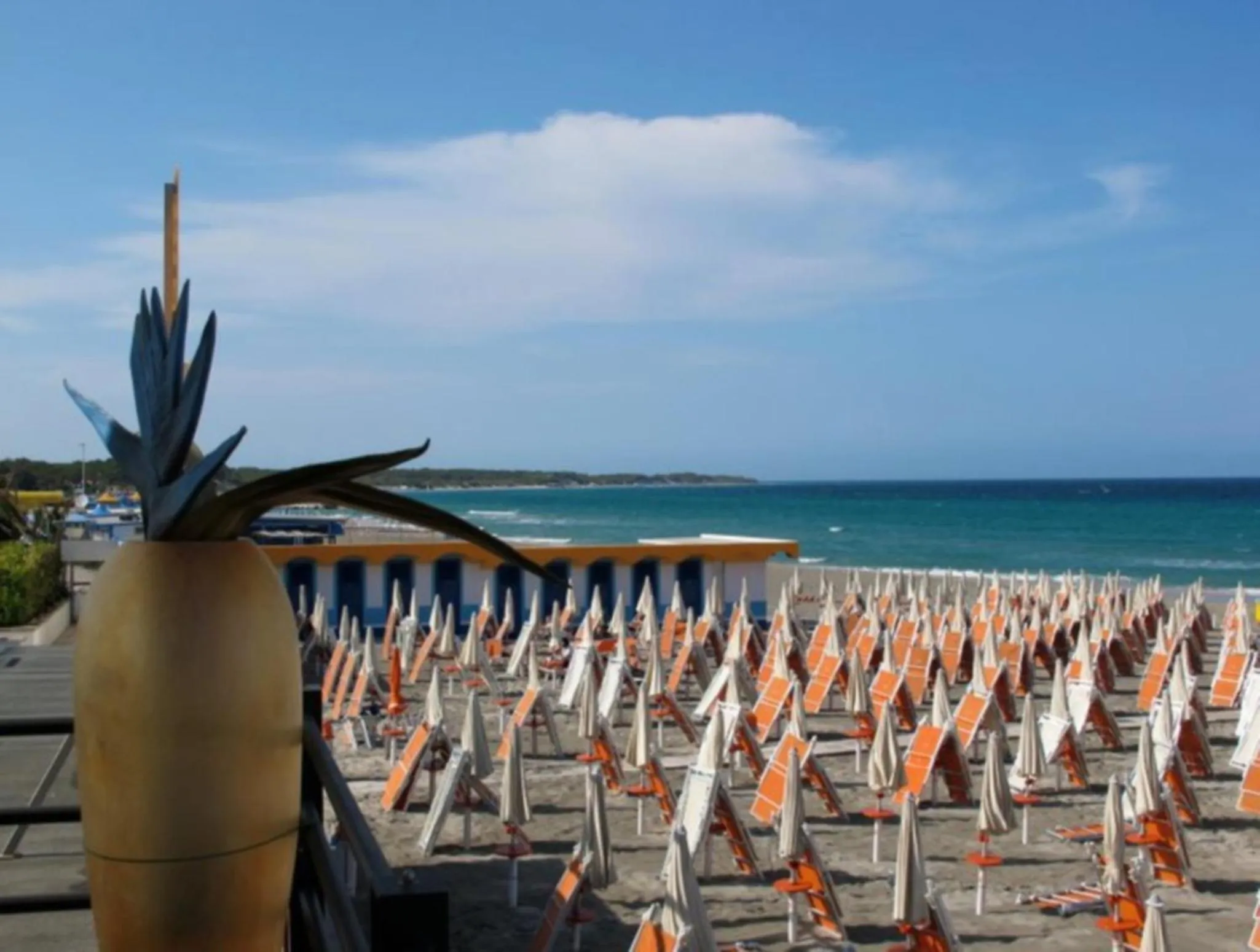 Activities in Borgoincorte