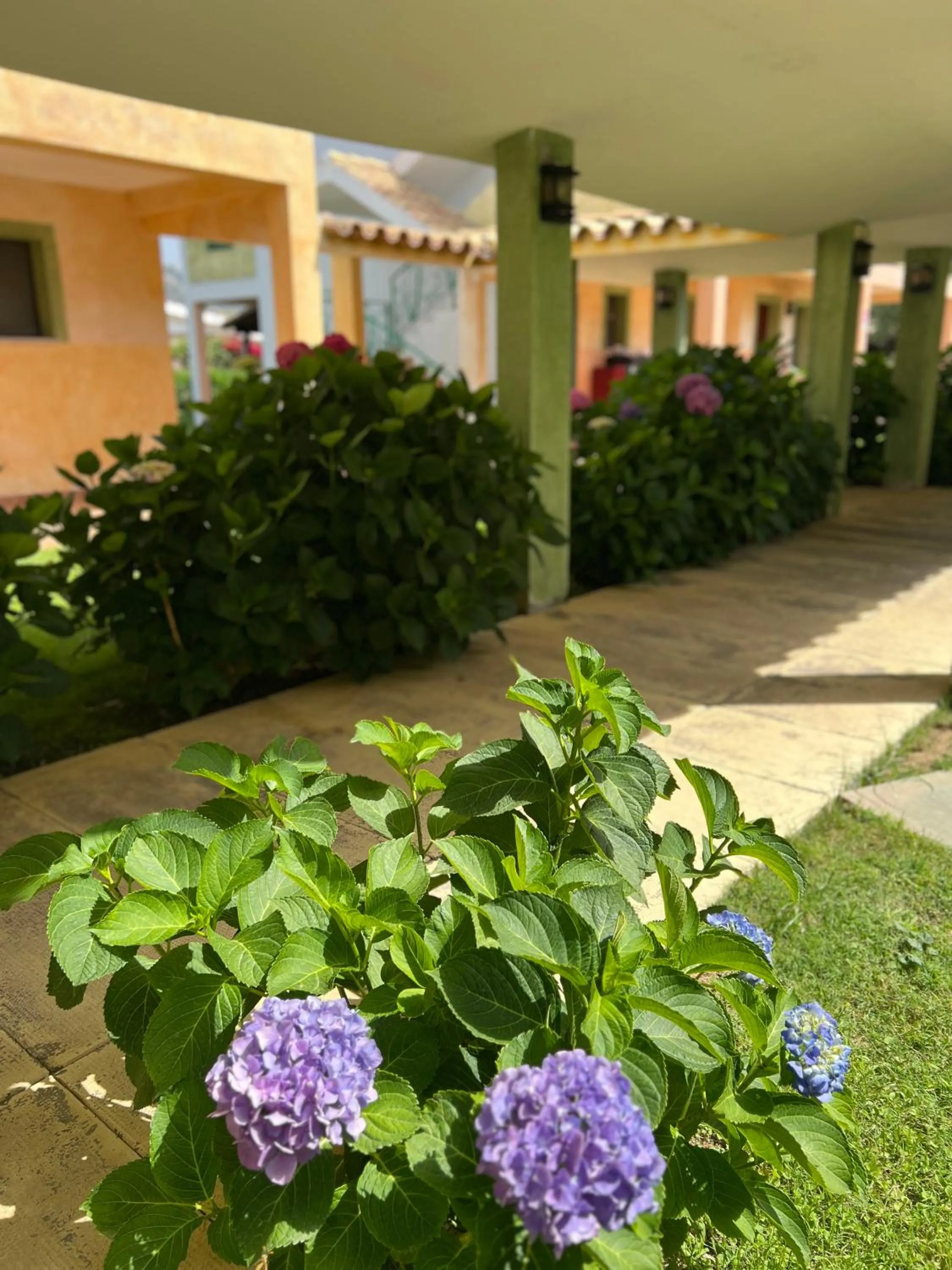 Garden in iH Hotels Le Zagare Resort