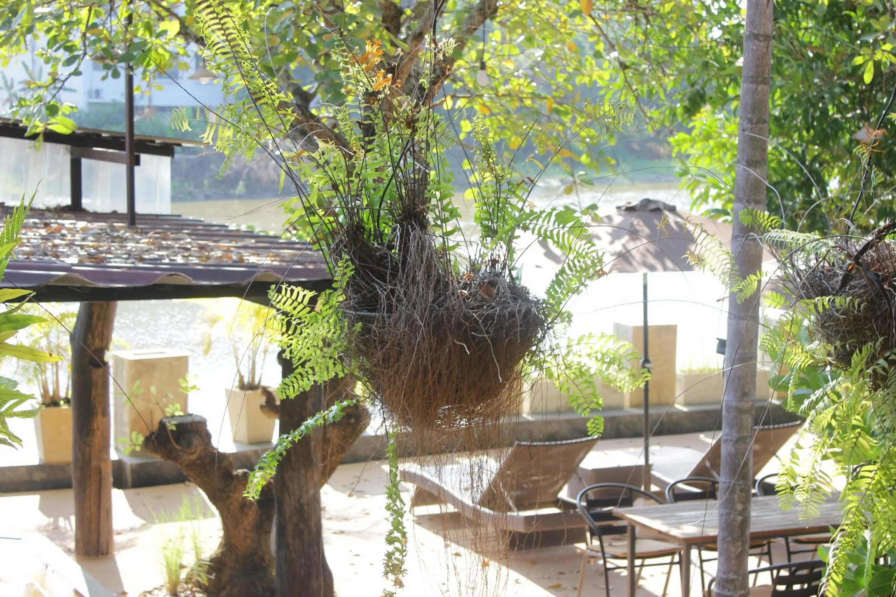 Dining area in Tolani Riverside Villa