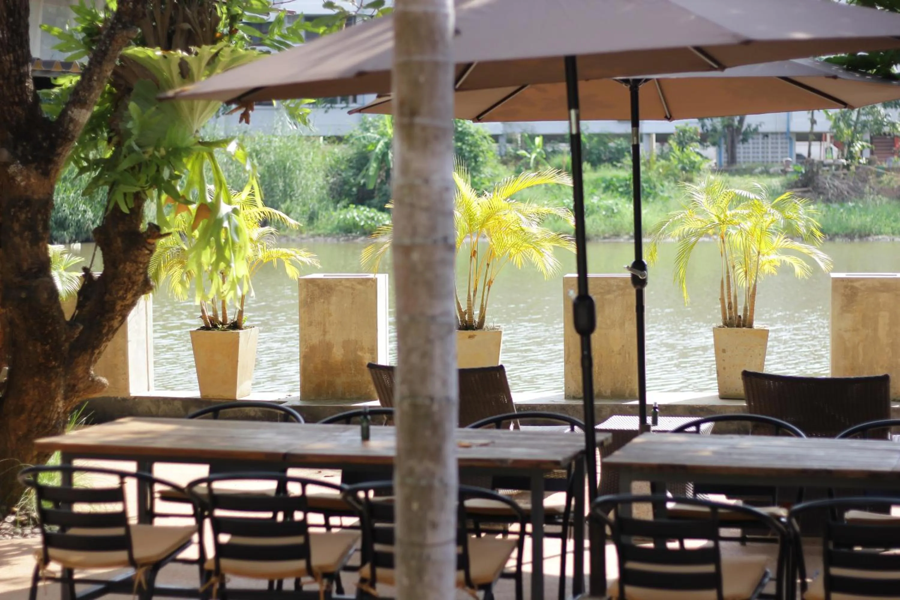 Restaurant/places to eat in Tolani Riverside Villa