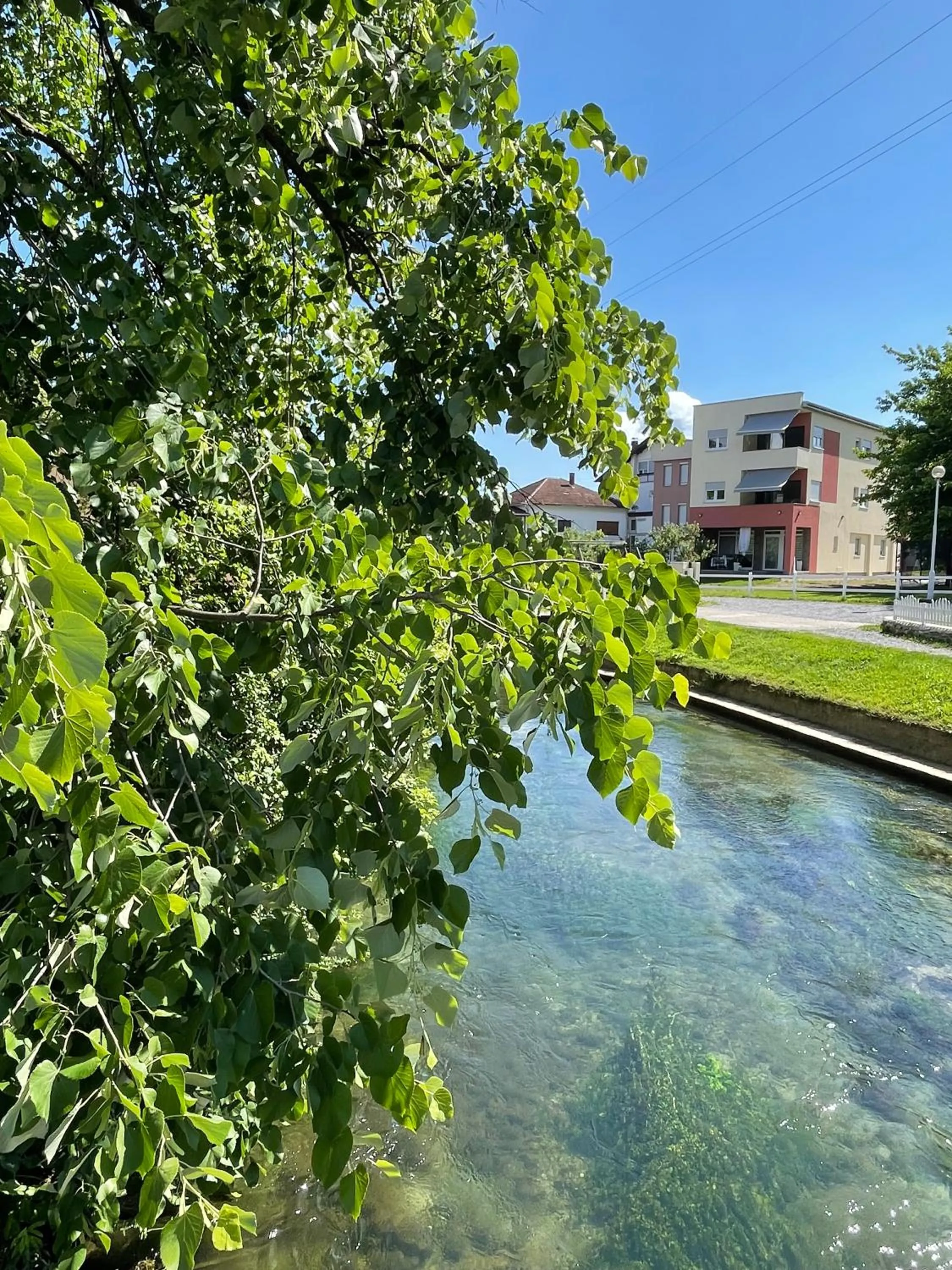 Natural landscape in Apartment Vila Tara