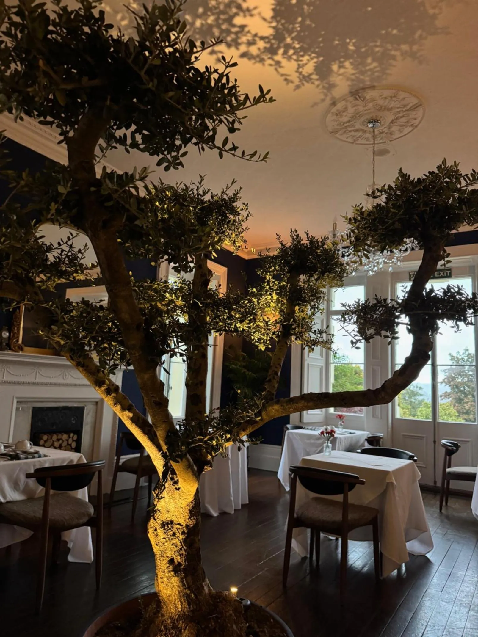 Restaurant/places to eat in The Falcondale Country House Hotel