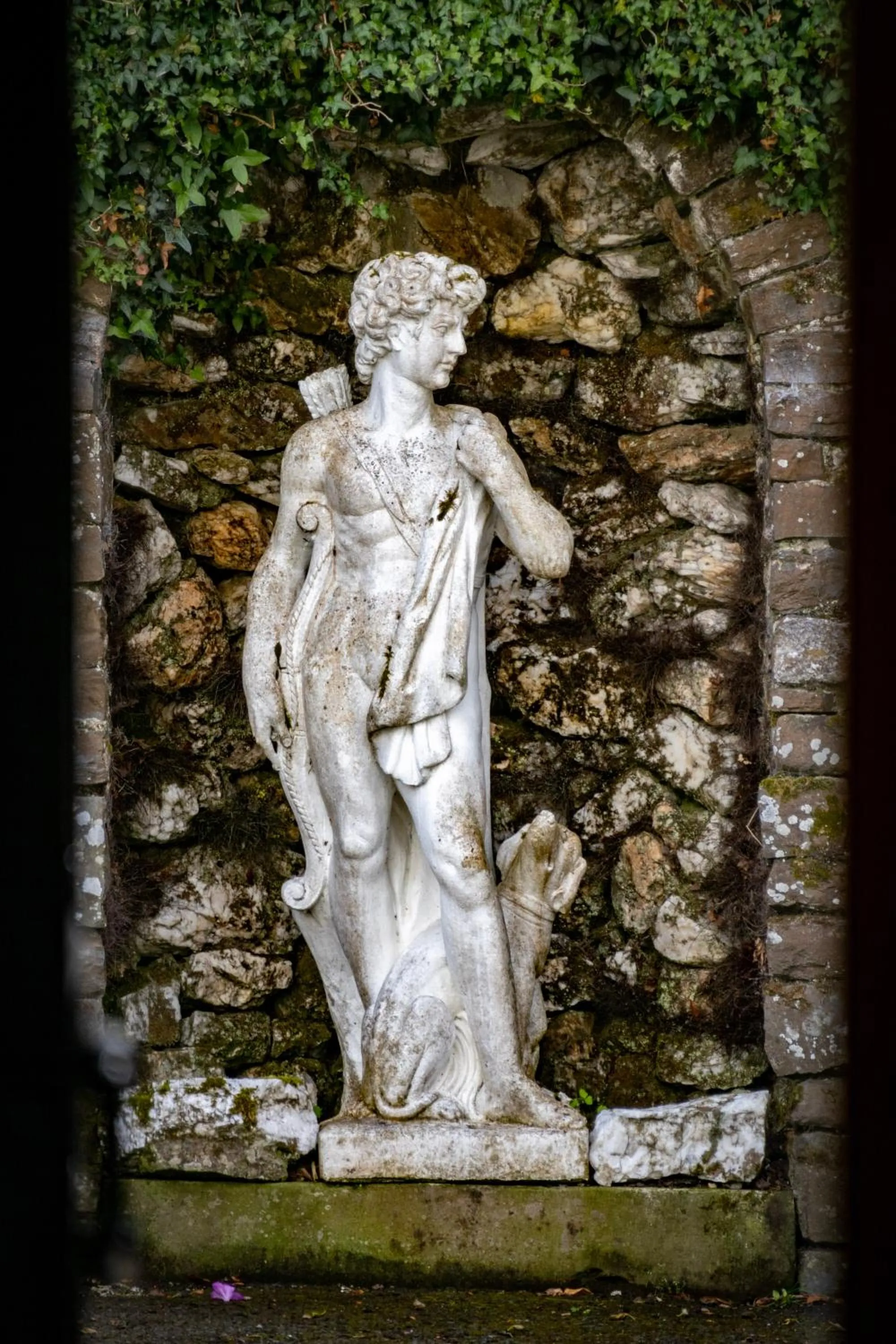 Garden in The Falcondale Country House Hotel