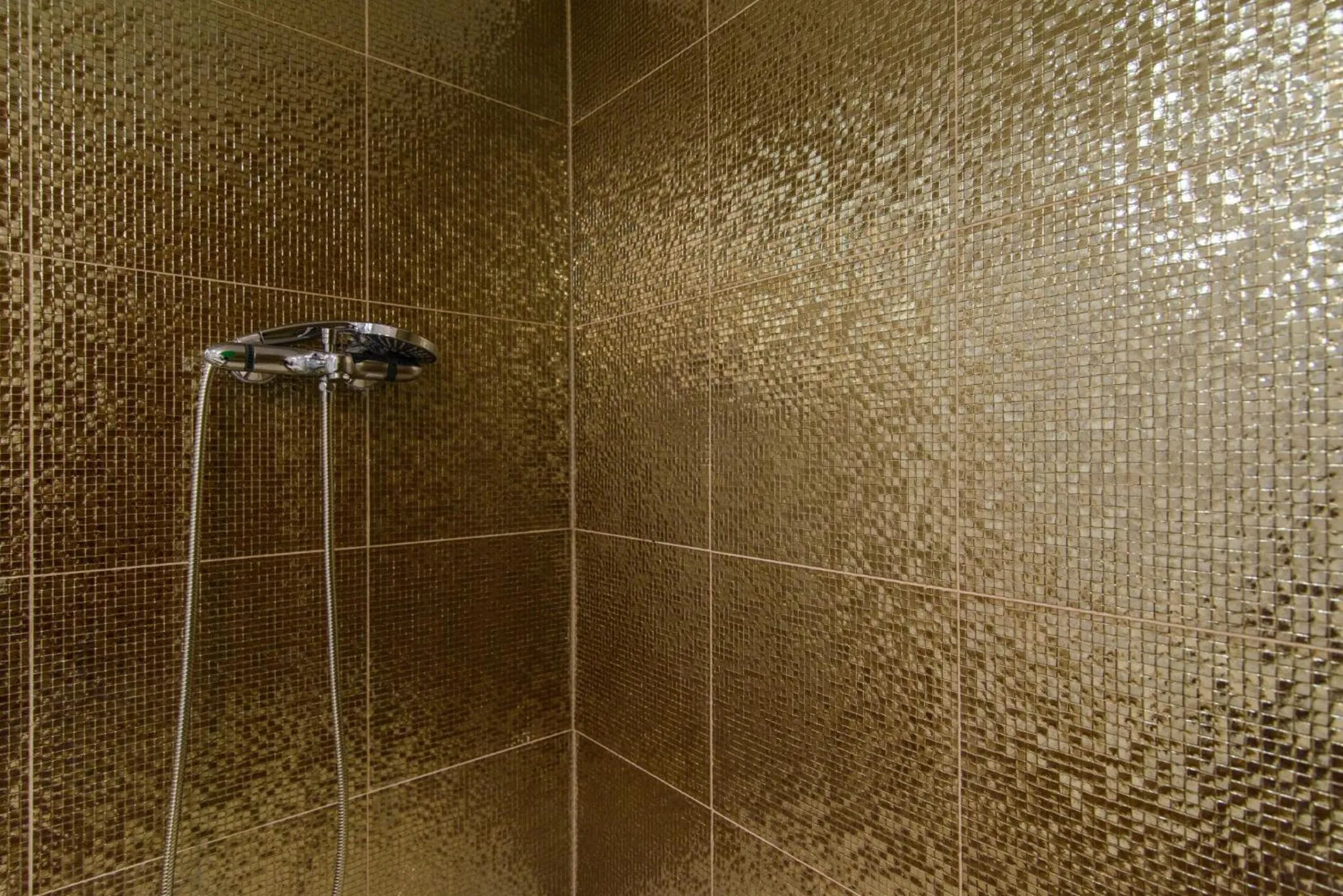 Shower in Studio Apartman REA