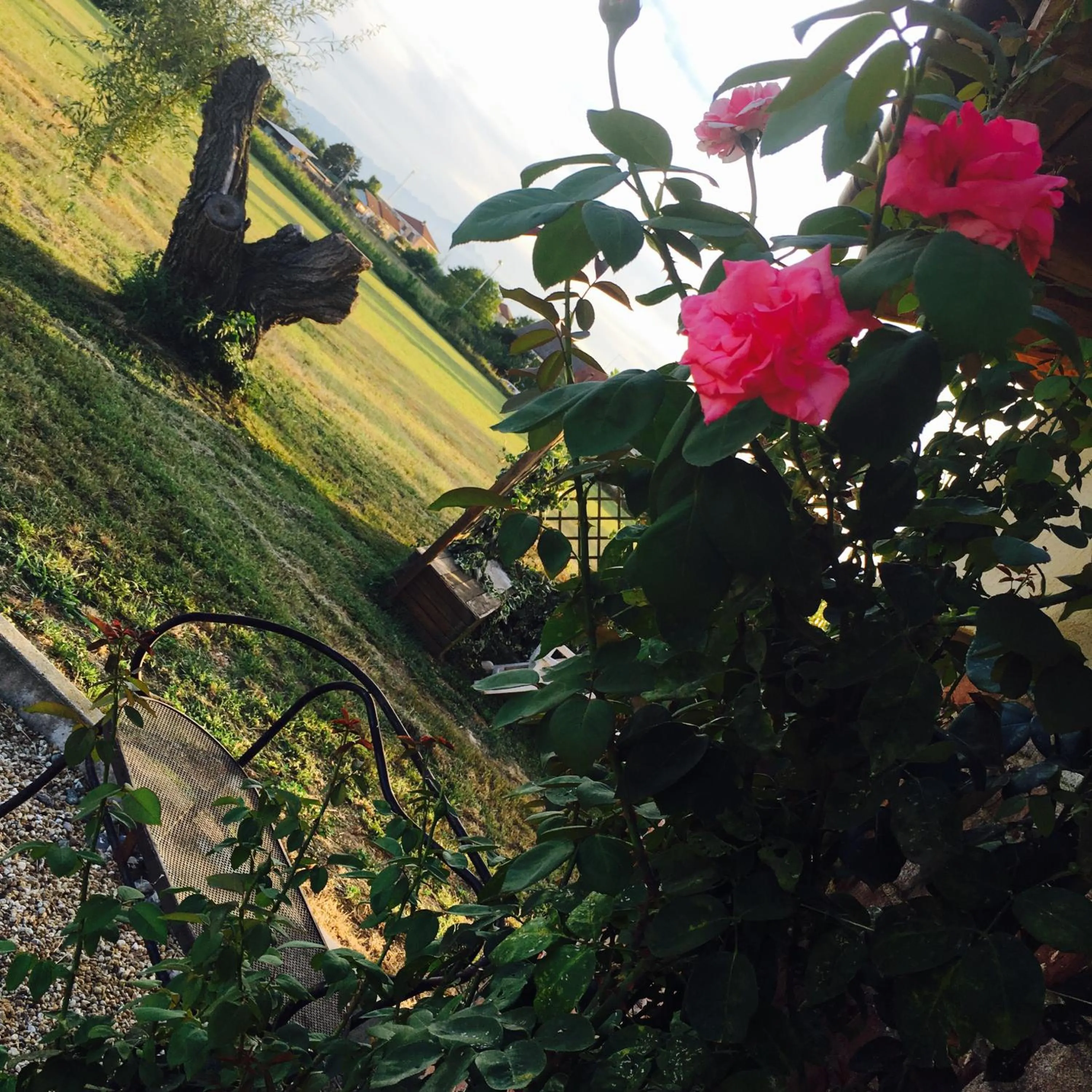 Day in Bed & Breakfast Il mio Gelso