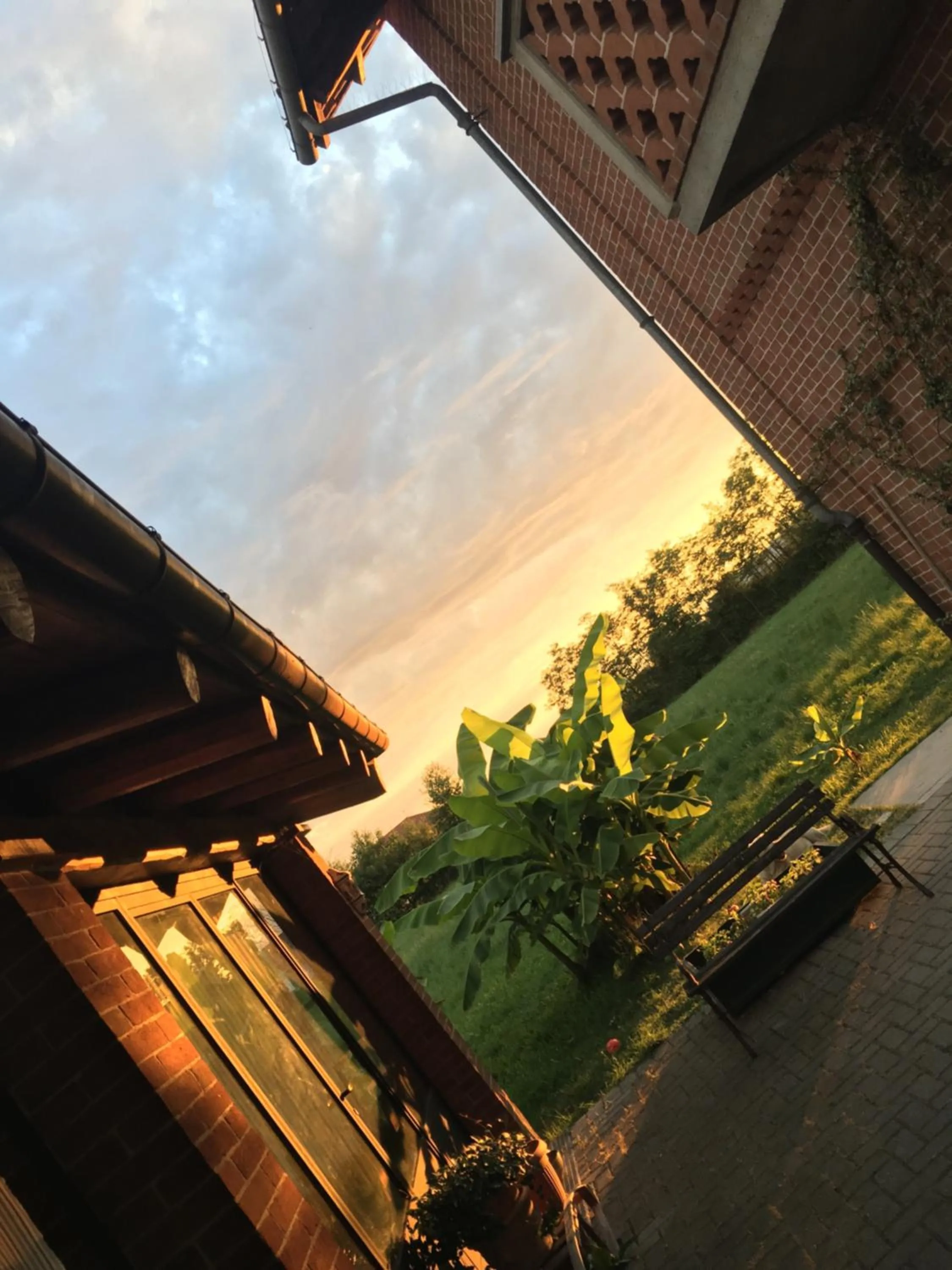 Bed & Breakfast Il mio Gelso