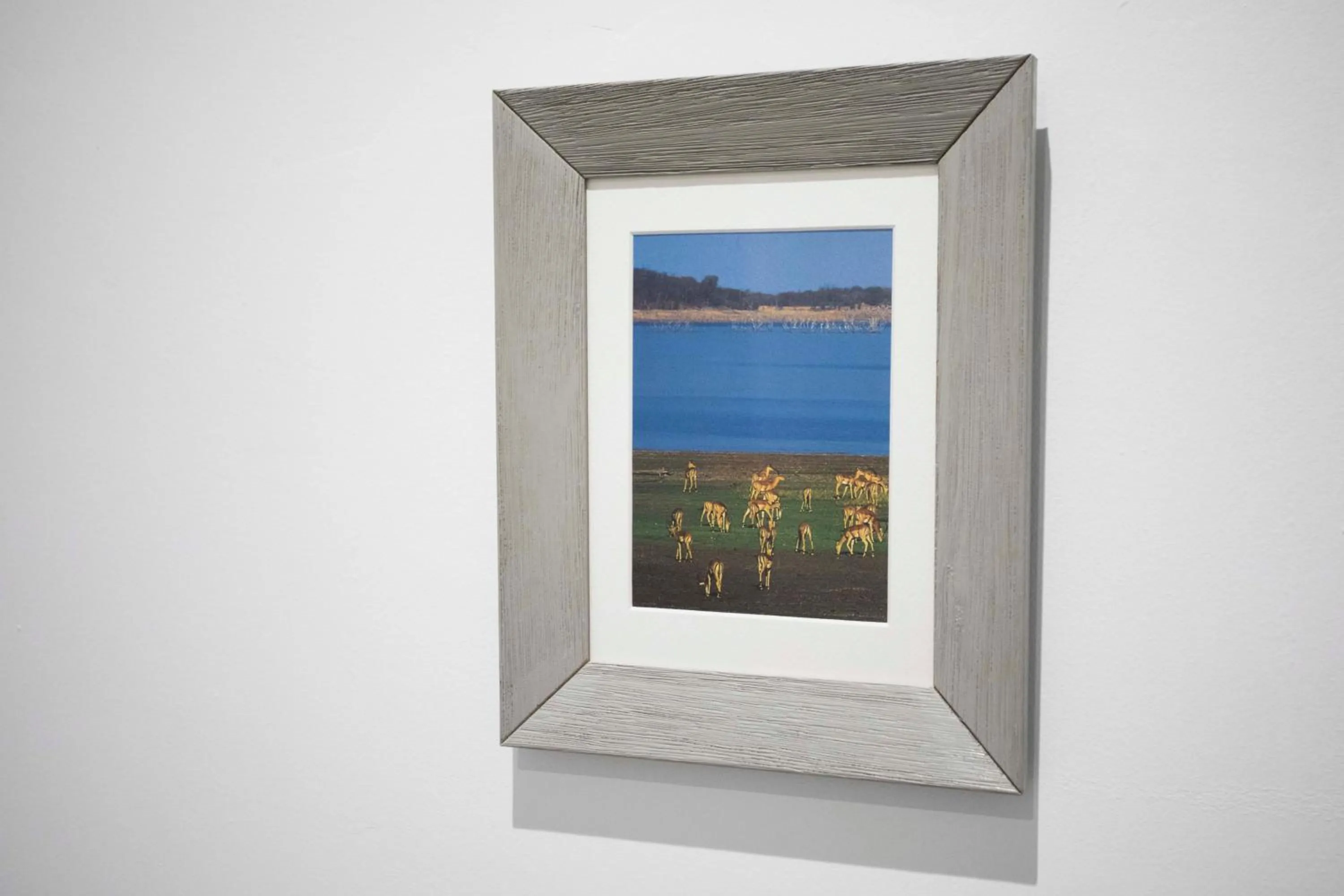 Total Valencia Vintage