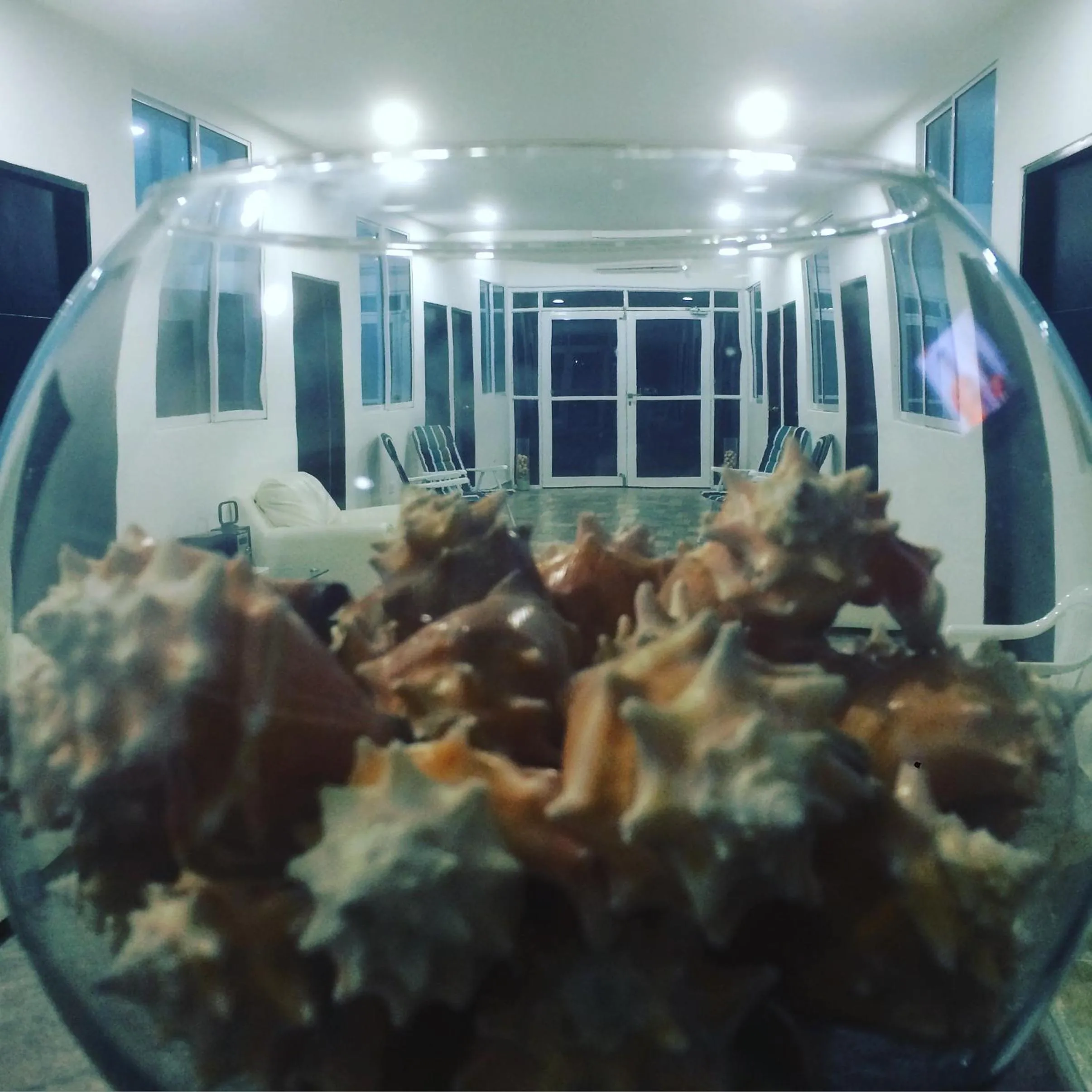 Communal lounge/ TV room in Hotel Sunset Beach