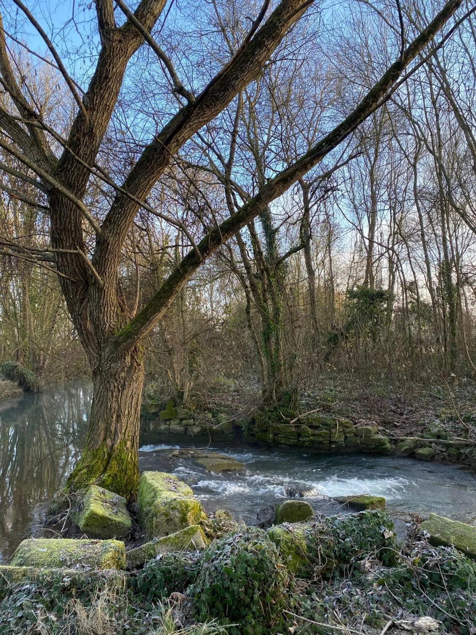 Le p'tit nid de Gabriel