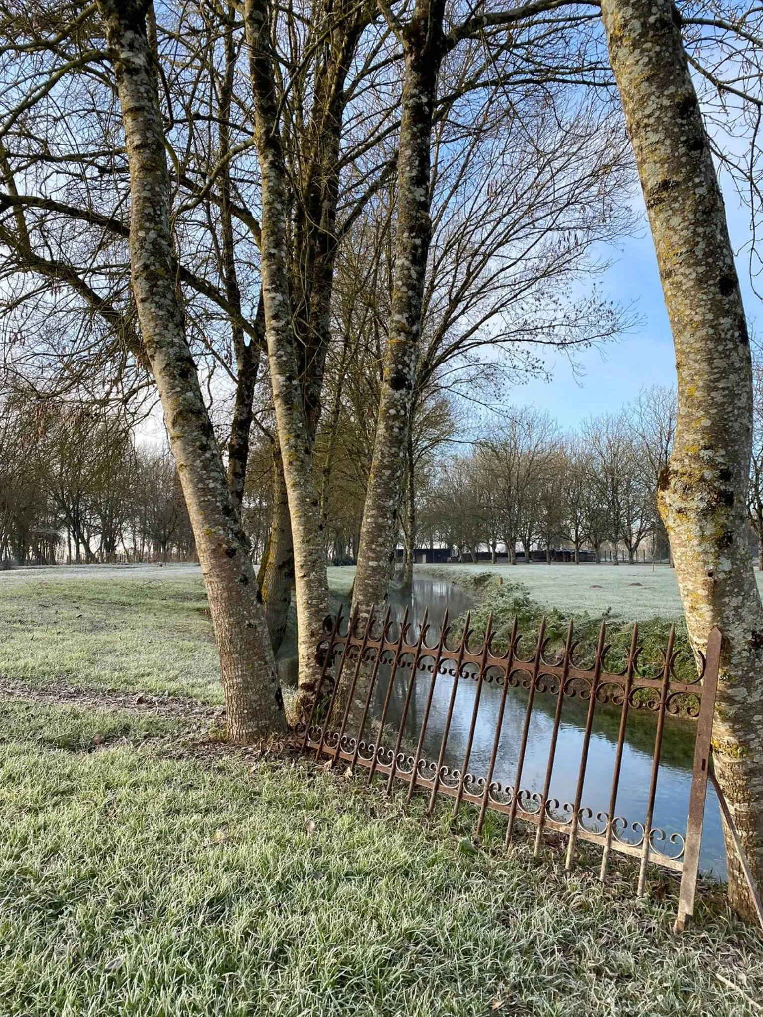 Le p'tit nid de Gabriel