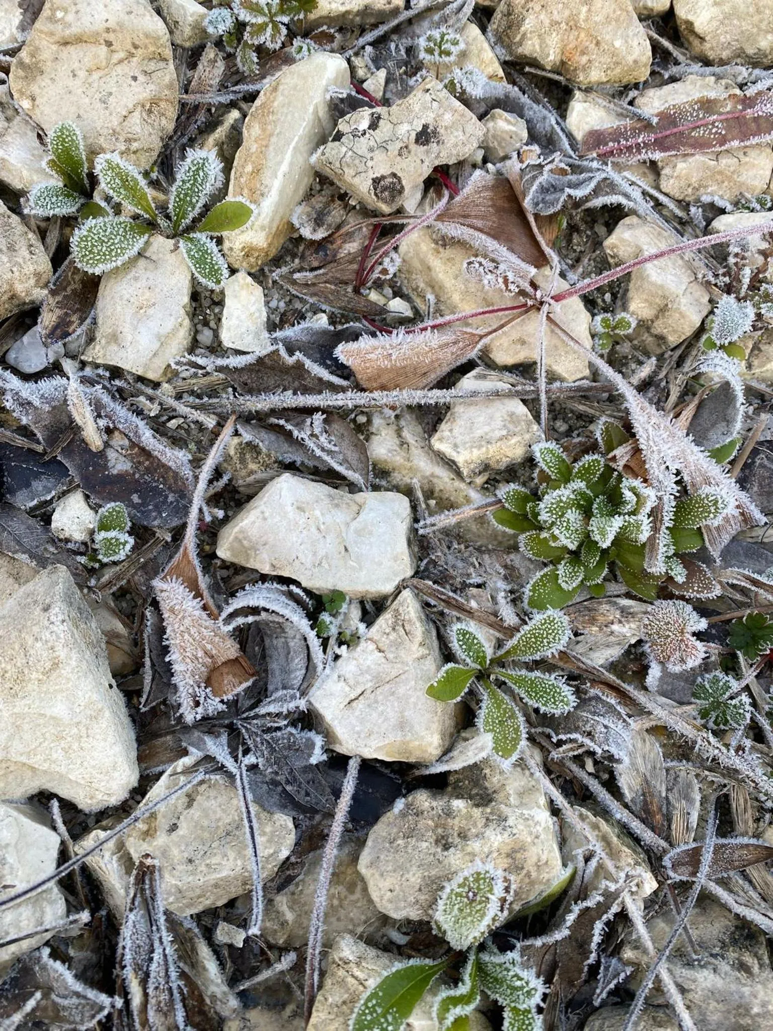 Le p'tit nid de Gabriel