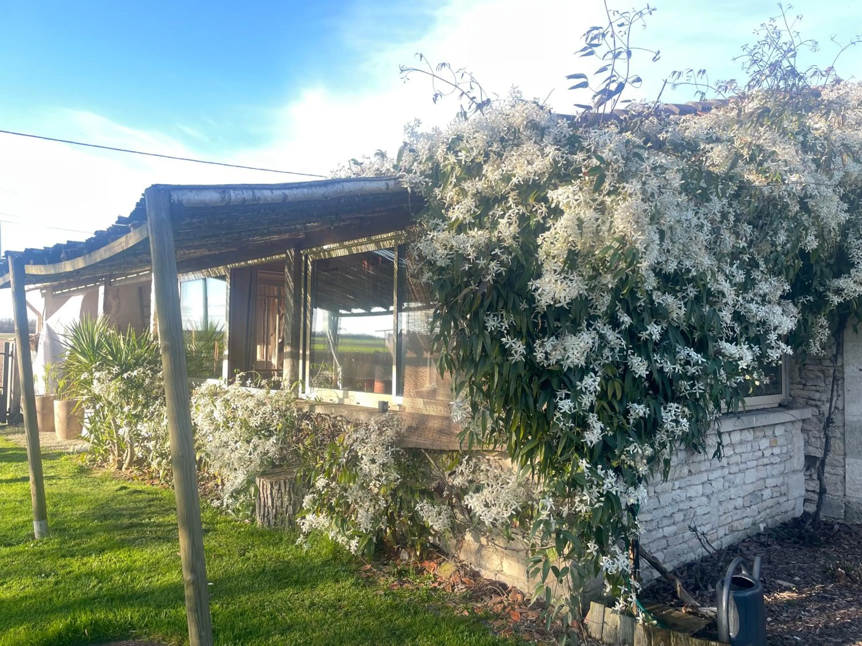 Spring in Le p'tit nid de Gabriel