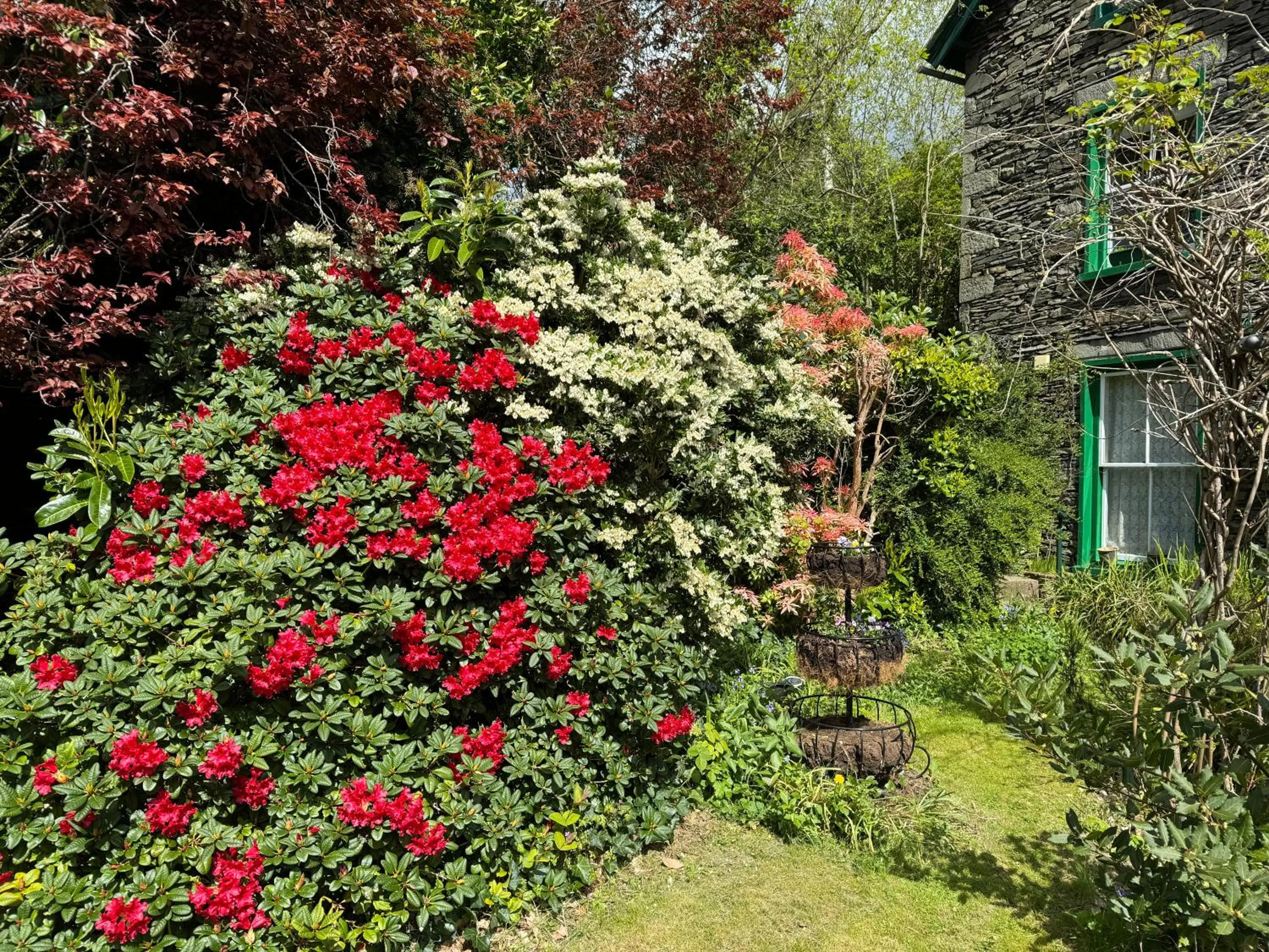 Garden view in Elim House