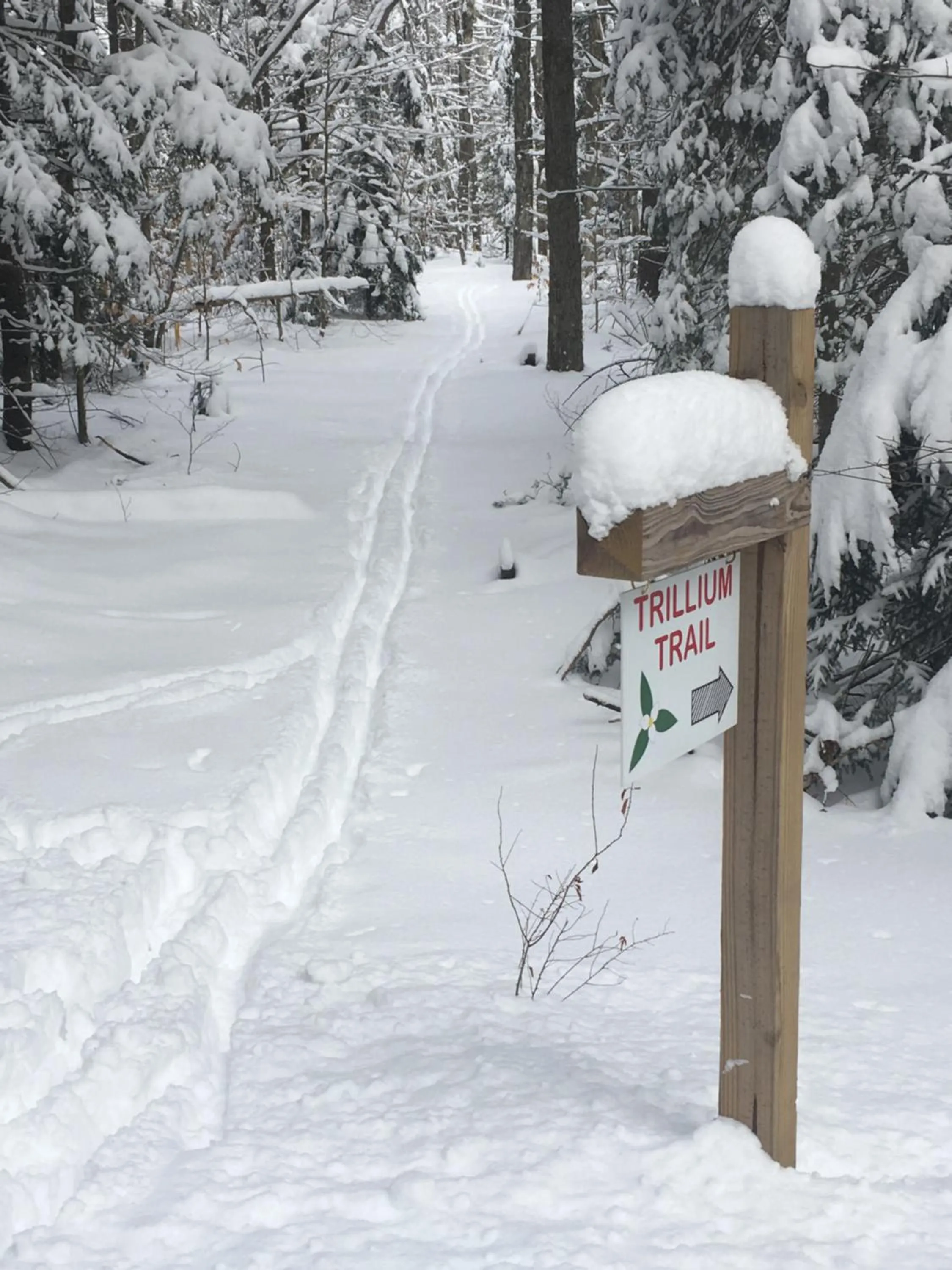 Winter in Robert Frost Mountain Cabins