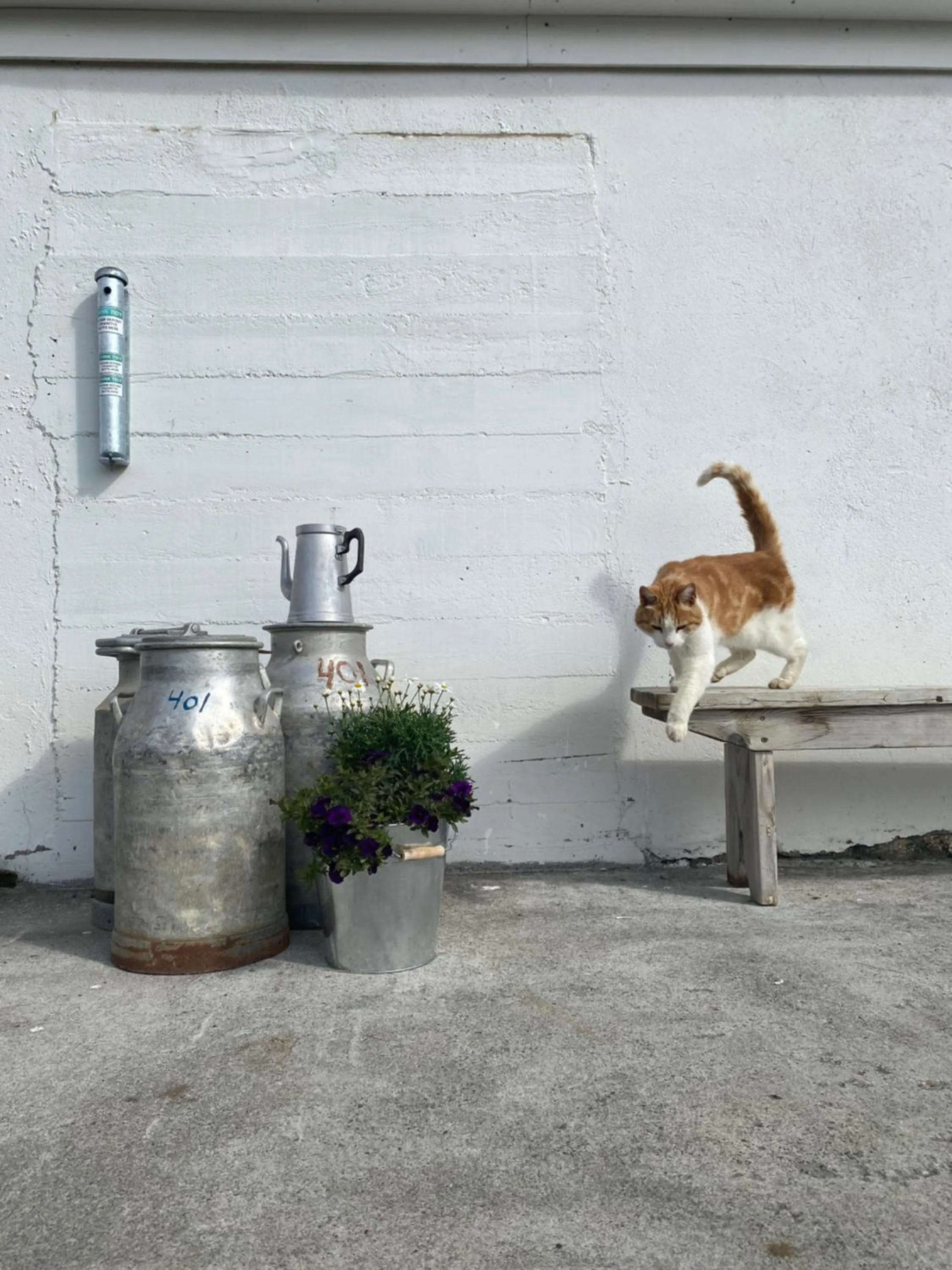 Property building in Fljótsbakki Hotel