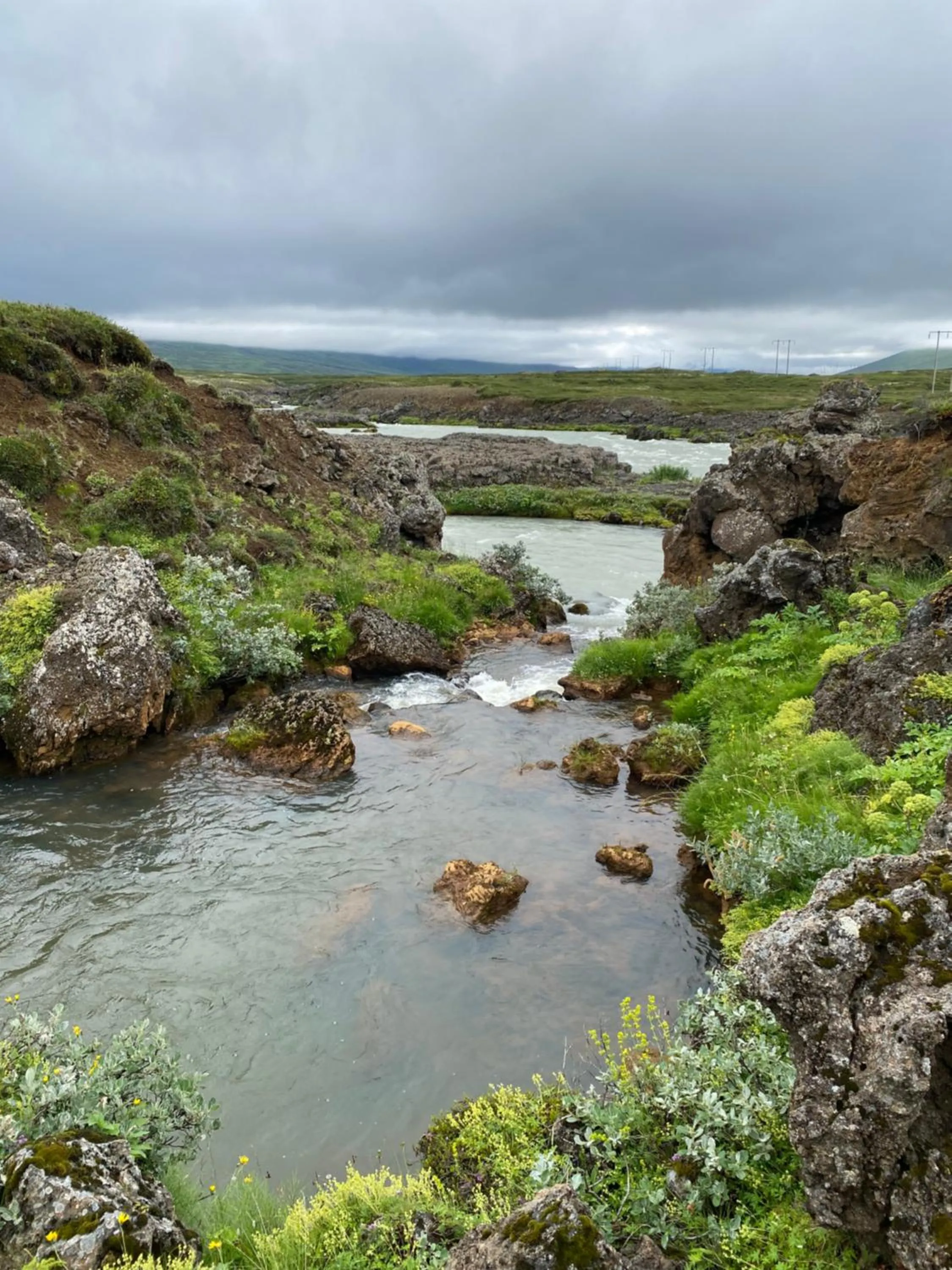 Natural landscape in Fljótsbakki Hotel