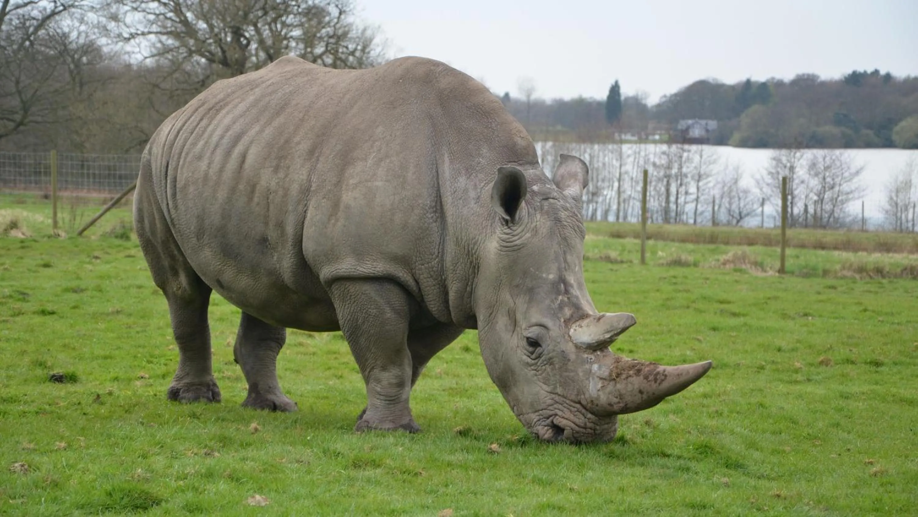 Nearby landmark in Holiday Inn Runcorn M56 Junction 12 by IHG