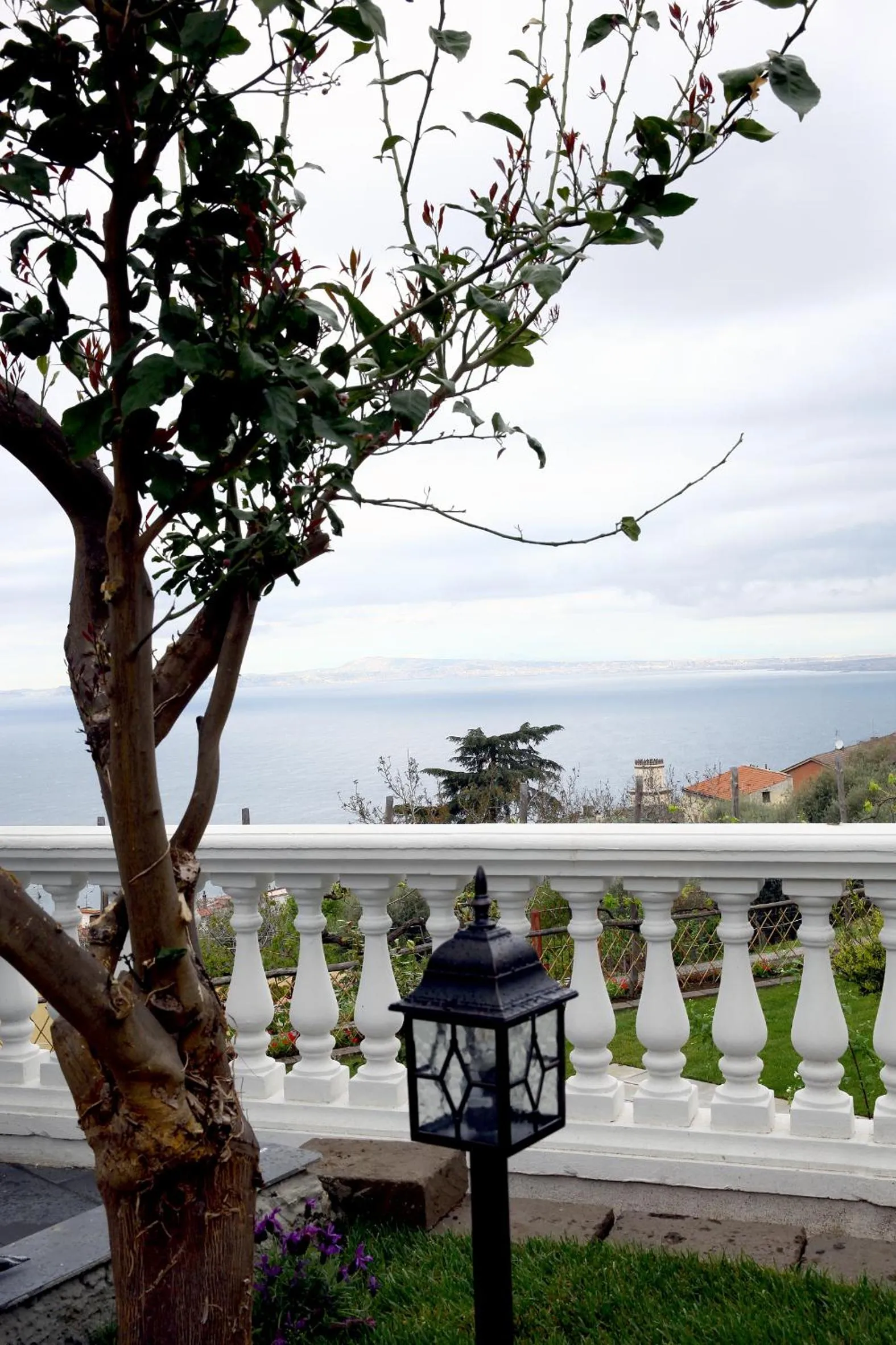 View (from property/room) in B&B Nel Mar