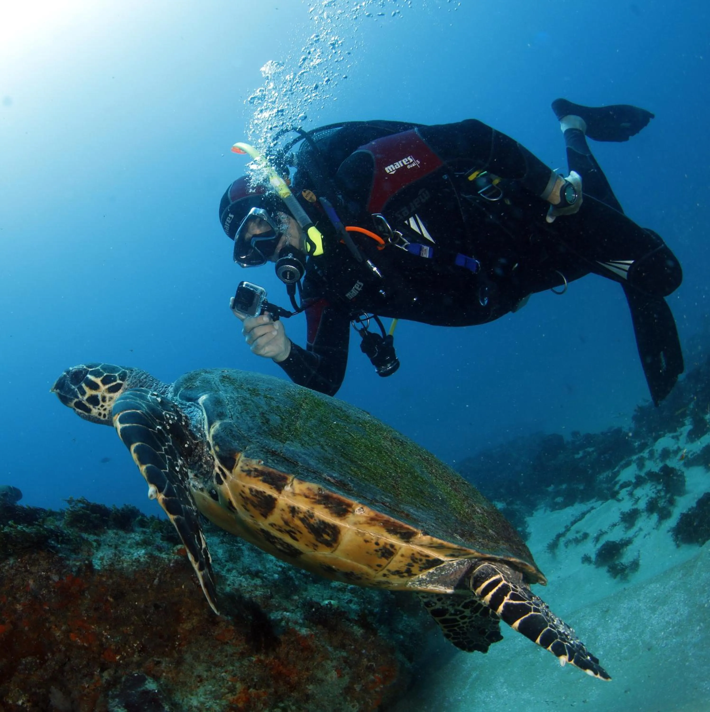 Activities in Premier Resort Cutty Sark