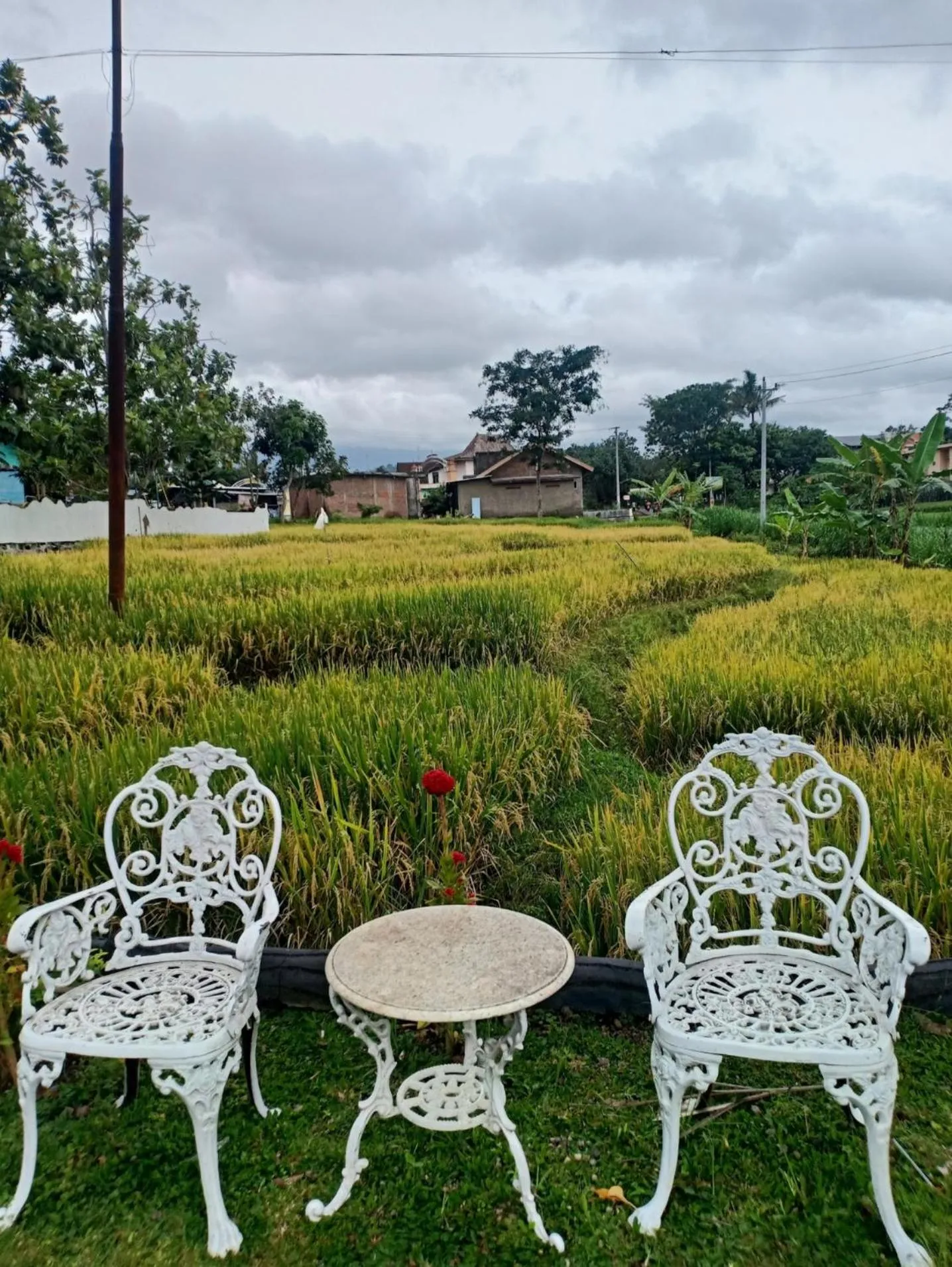 Putri Duyung Guest House