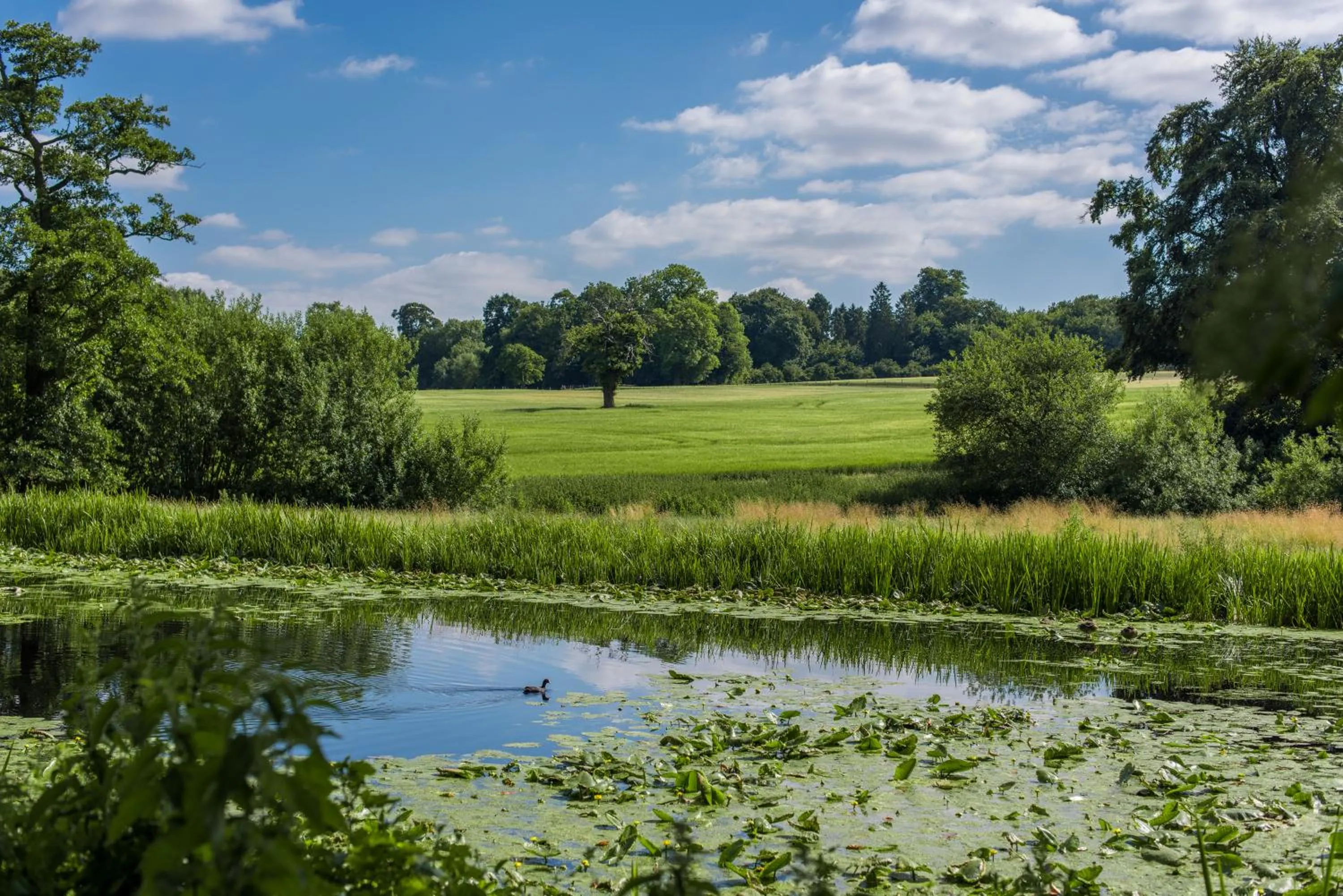 Rushton Hall Hotel and Spa