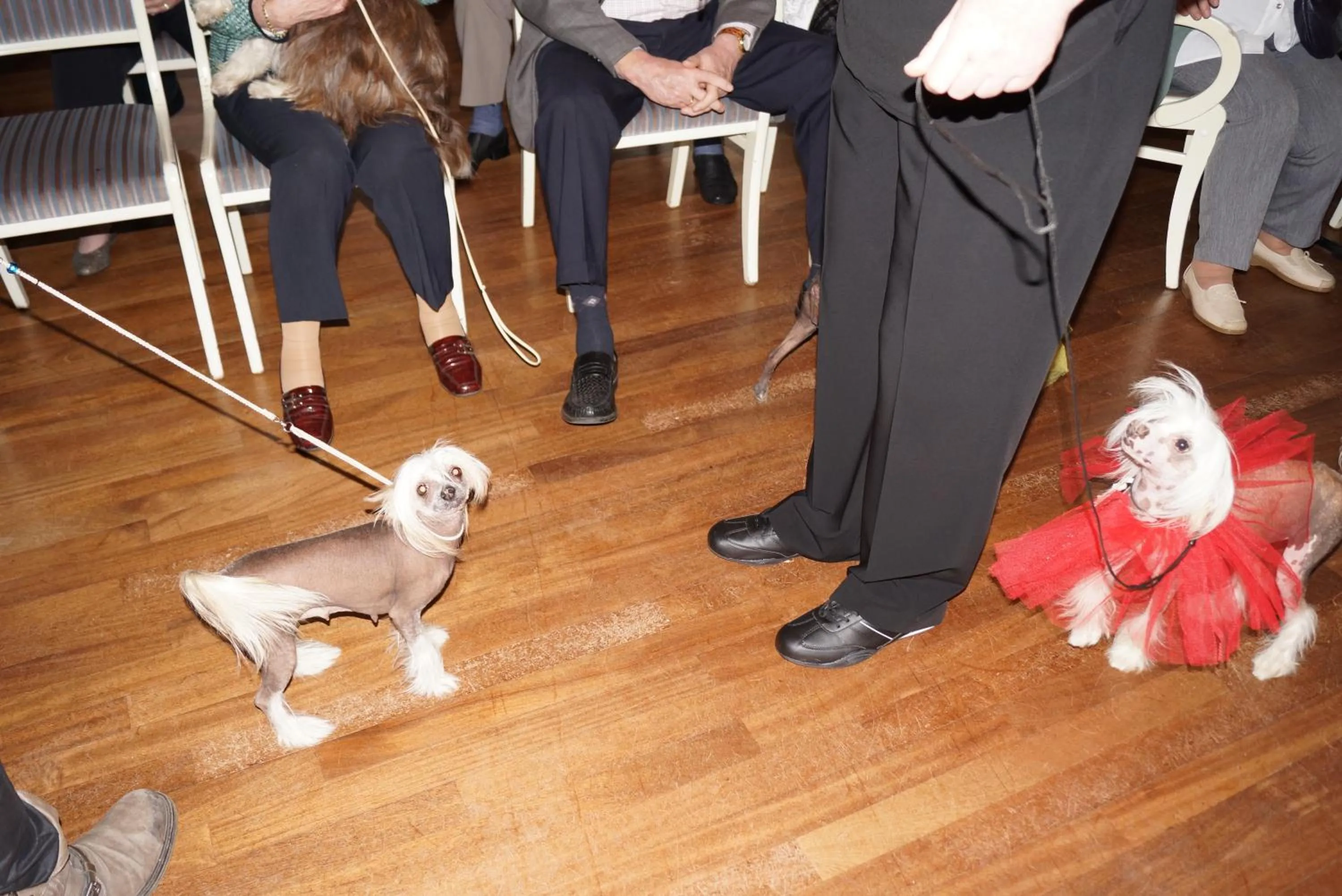 Communal lounge/ TV room in Allmanns-Kroog
