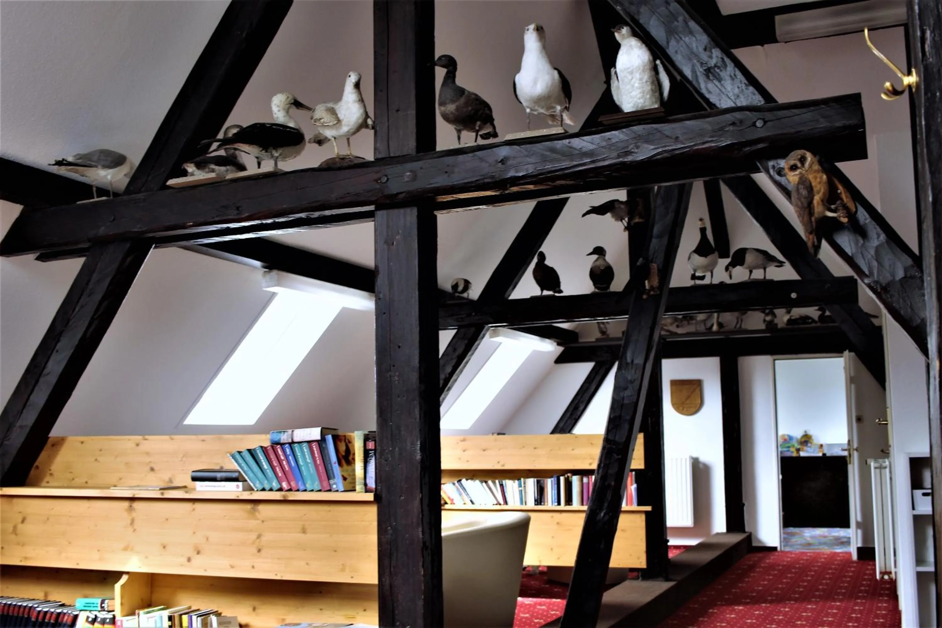 Day in Allmanns-Kroog