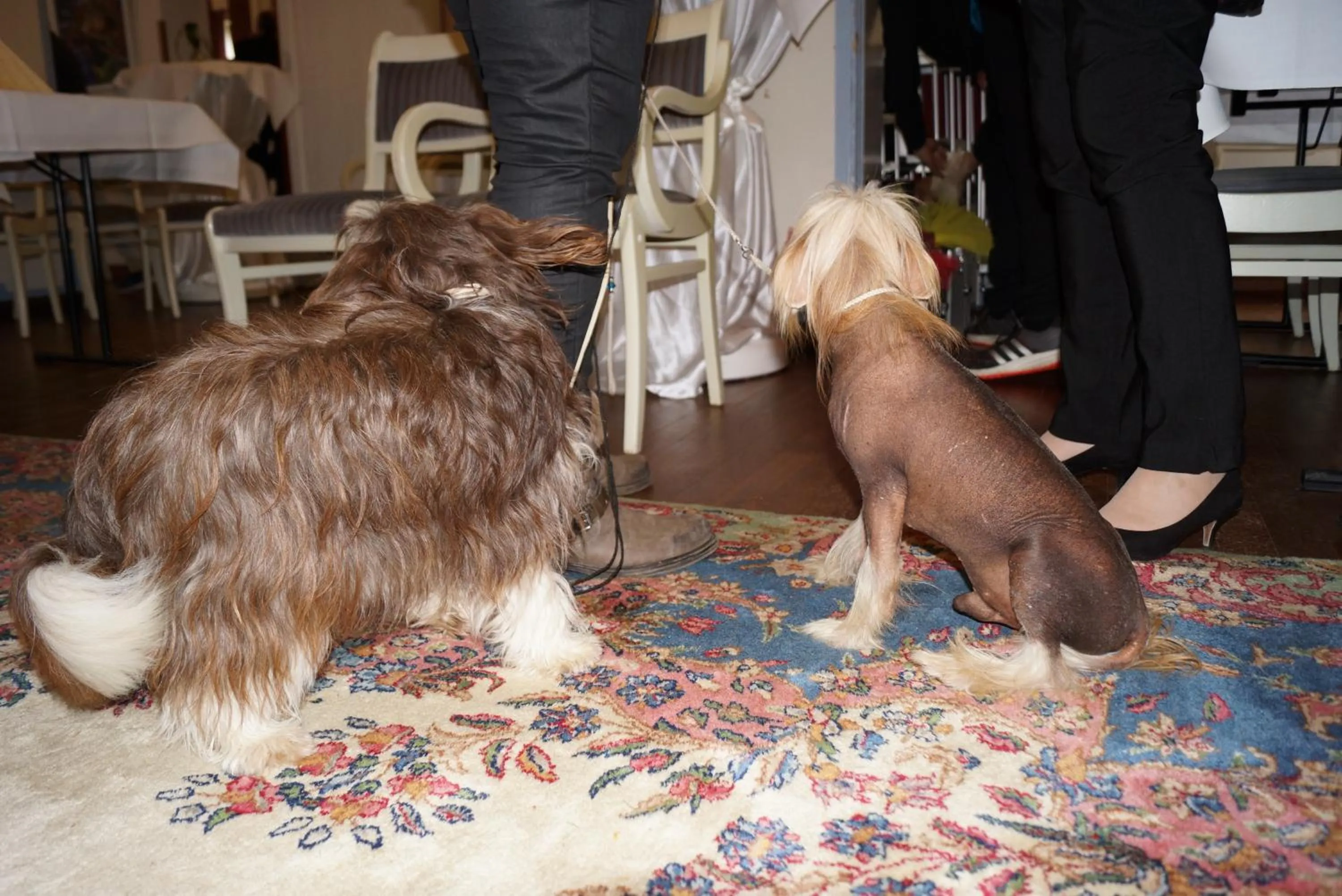 Nearby landmark in Allmanns-Kroog