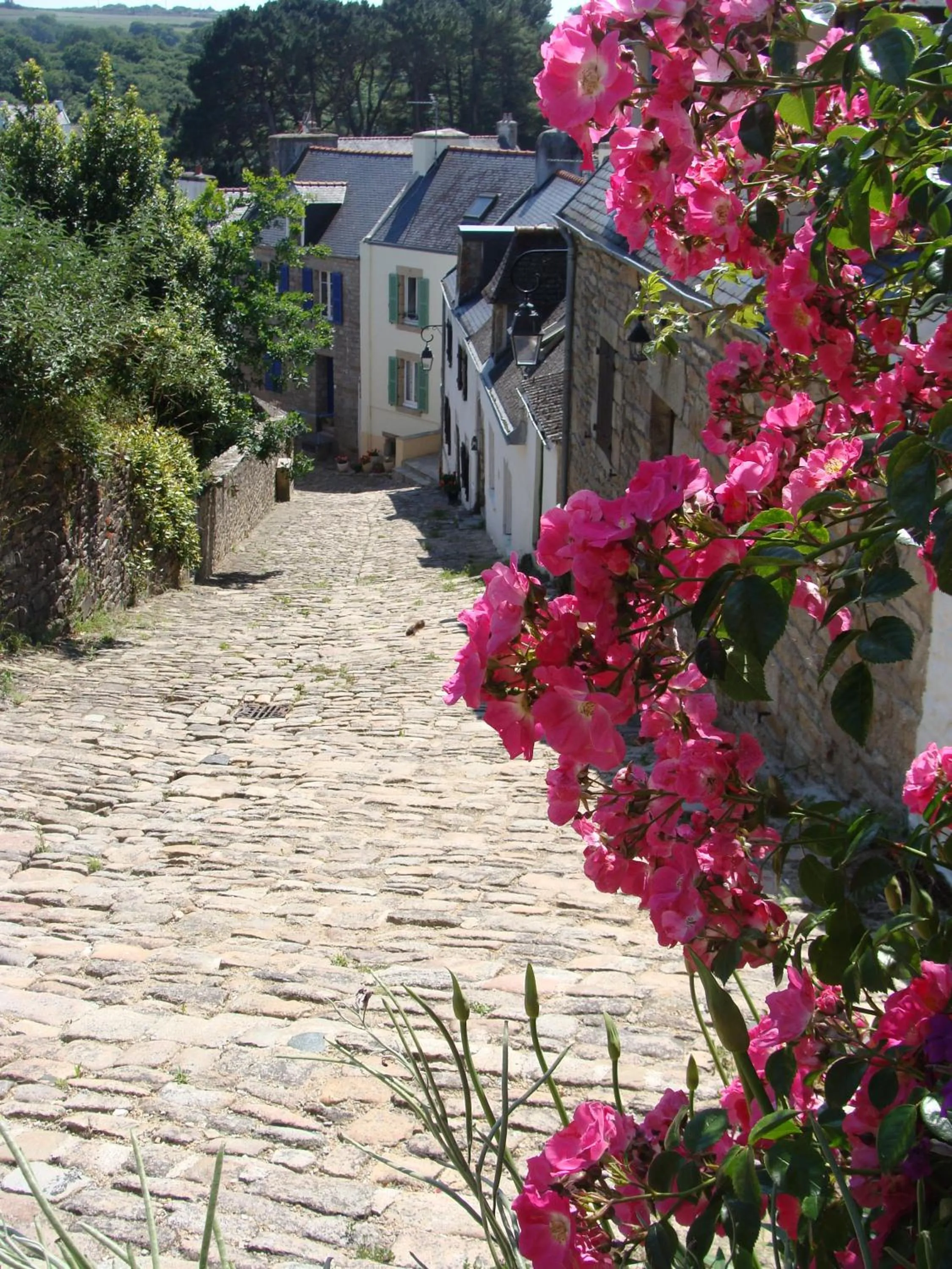 Neighbourhood in Le 29 d'à côté