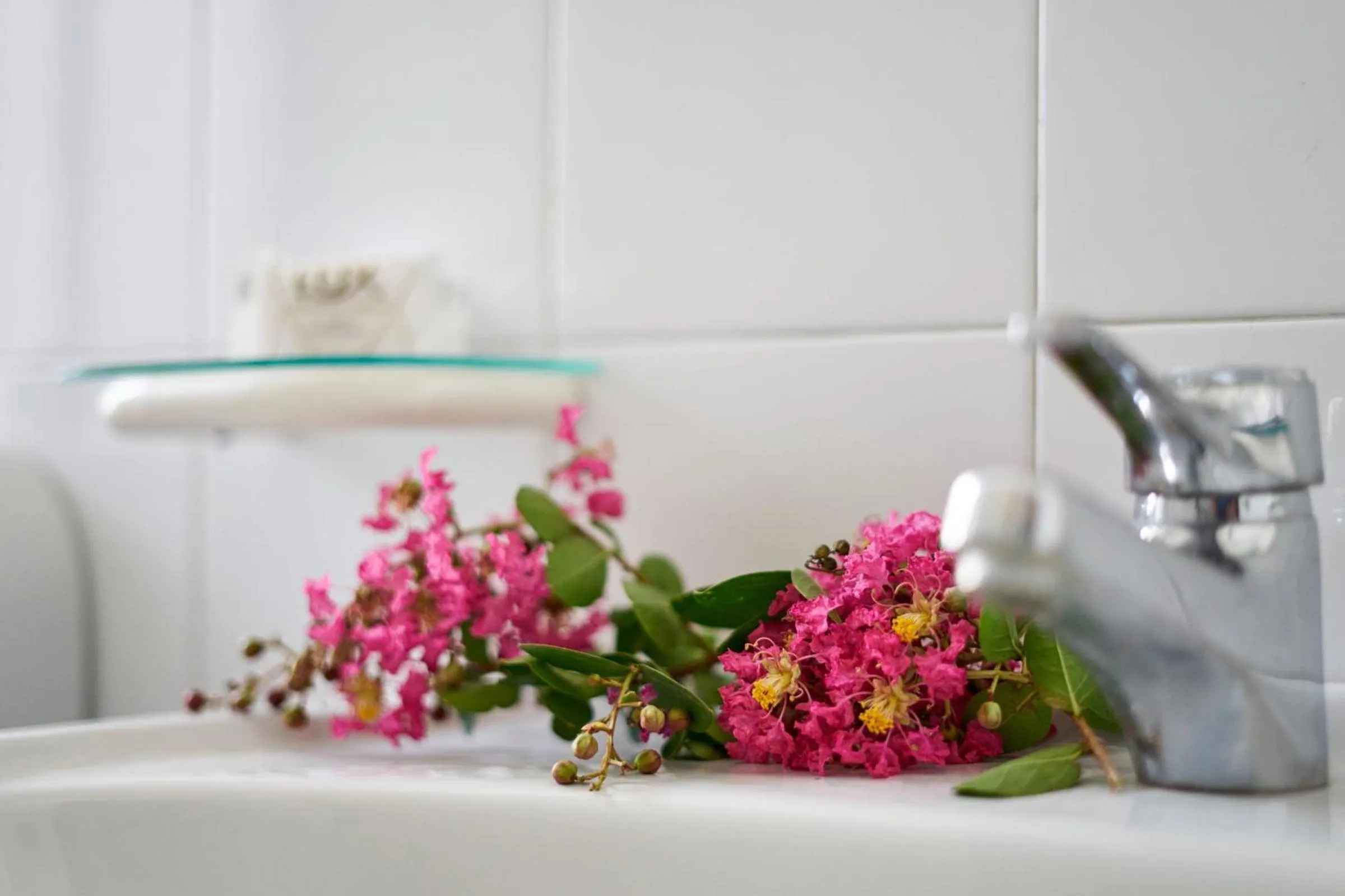 Decorative detail in Hotel Mazzurco