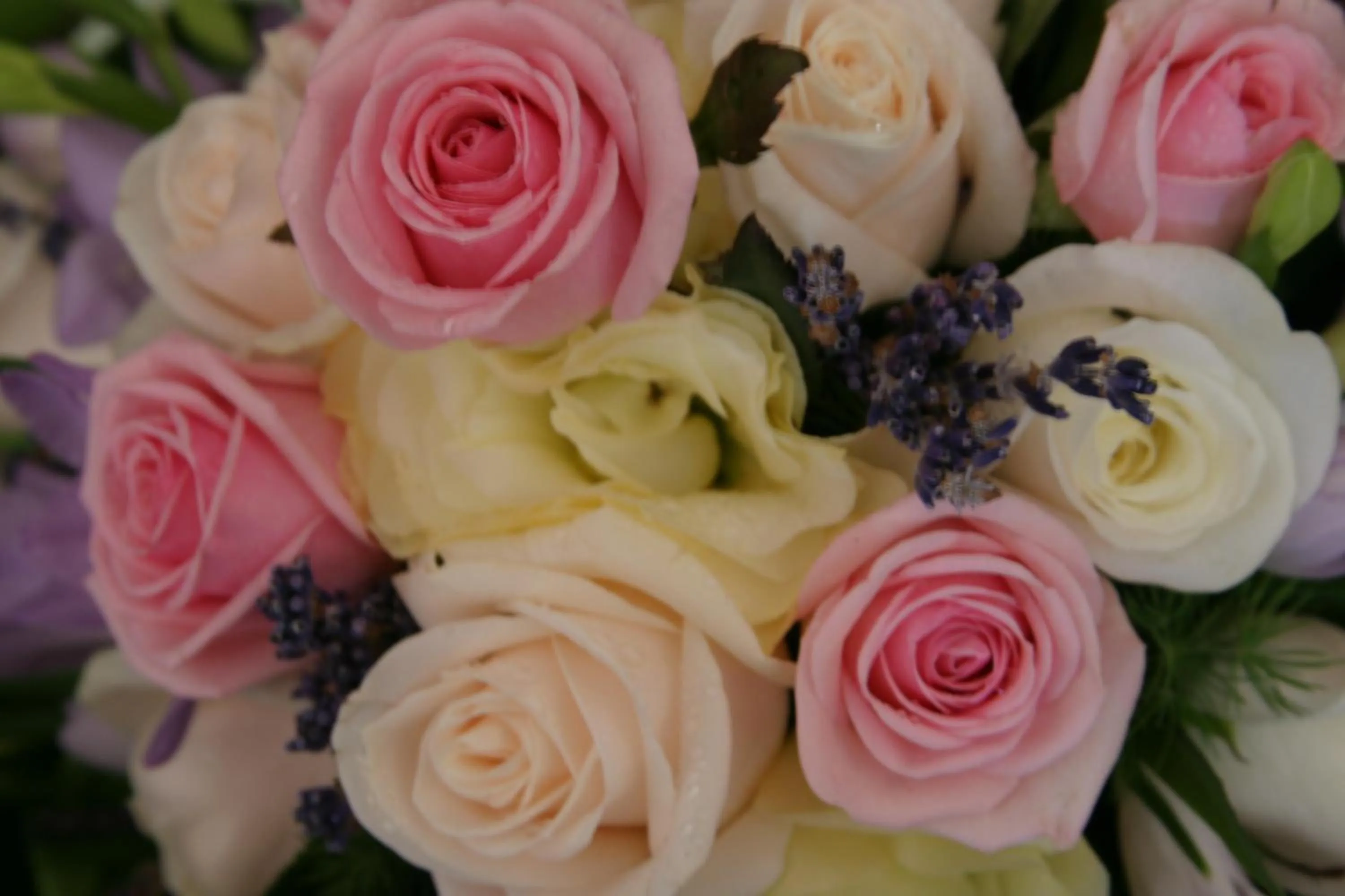 Banquet/Function facilities in Gipsy Hill Hotel